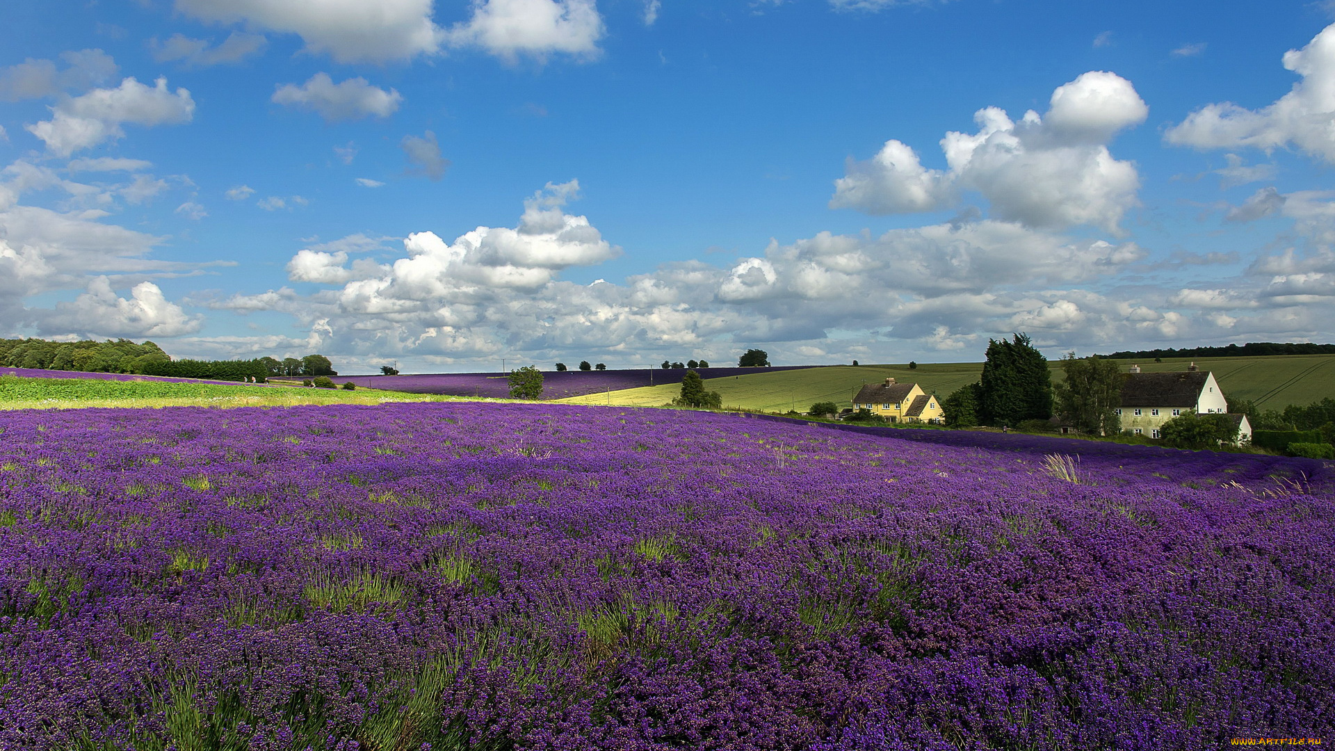 природа, поля, дома, облака