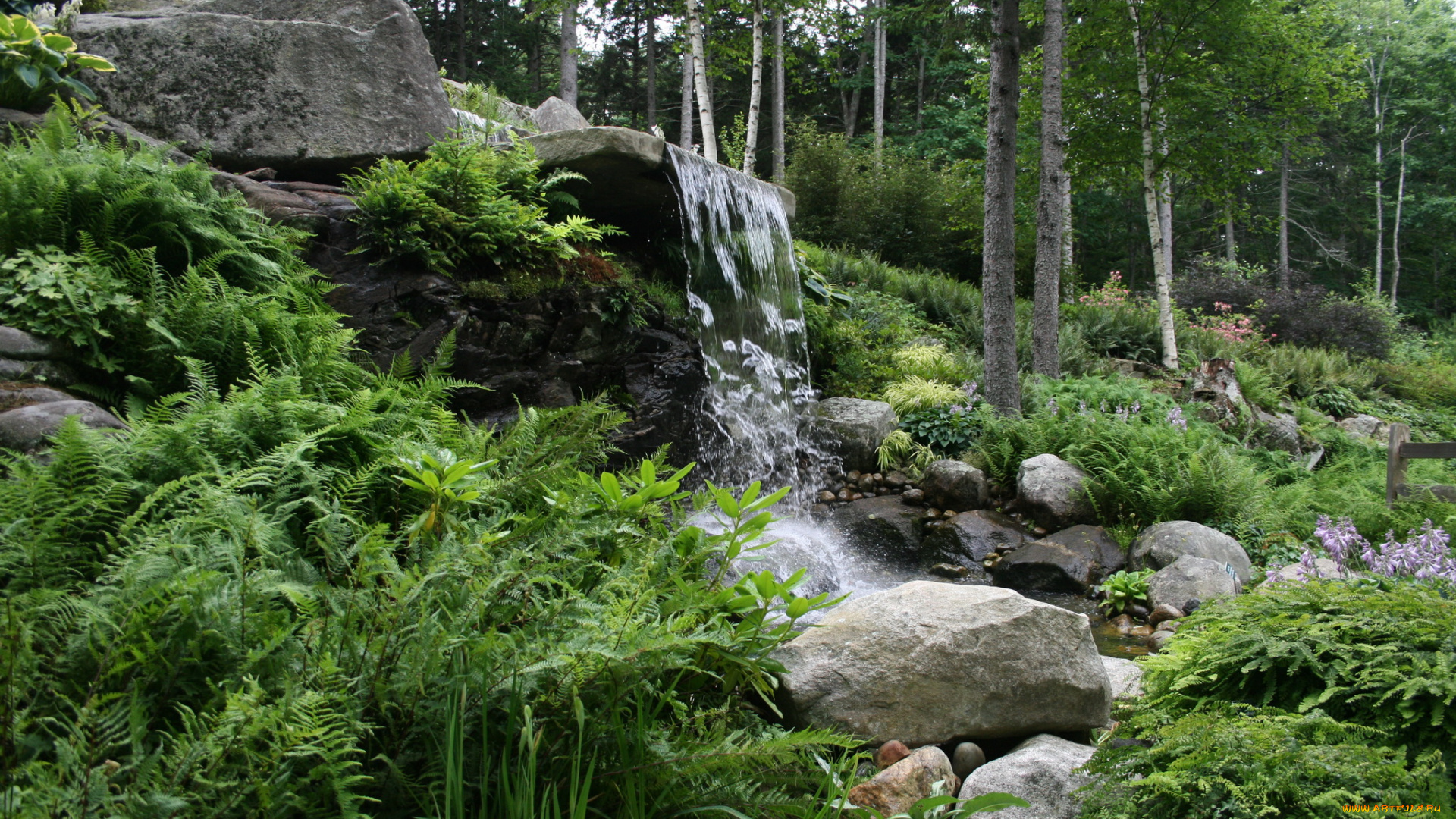 природа, водопады, водопад, лес