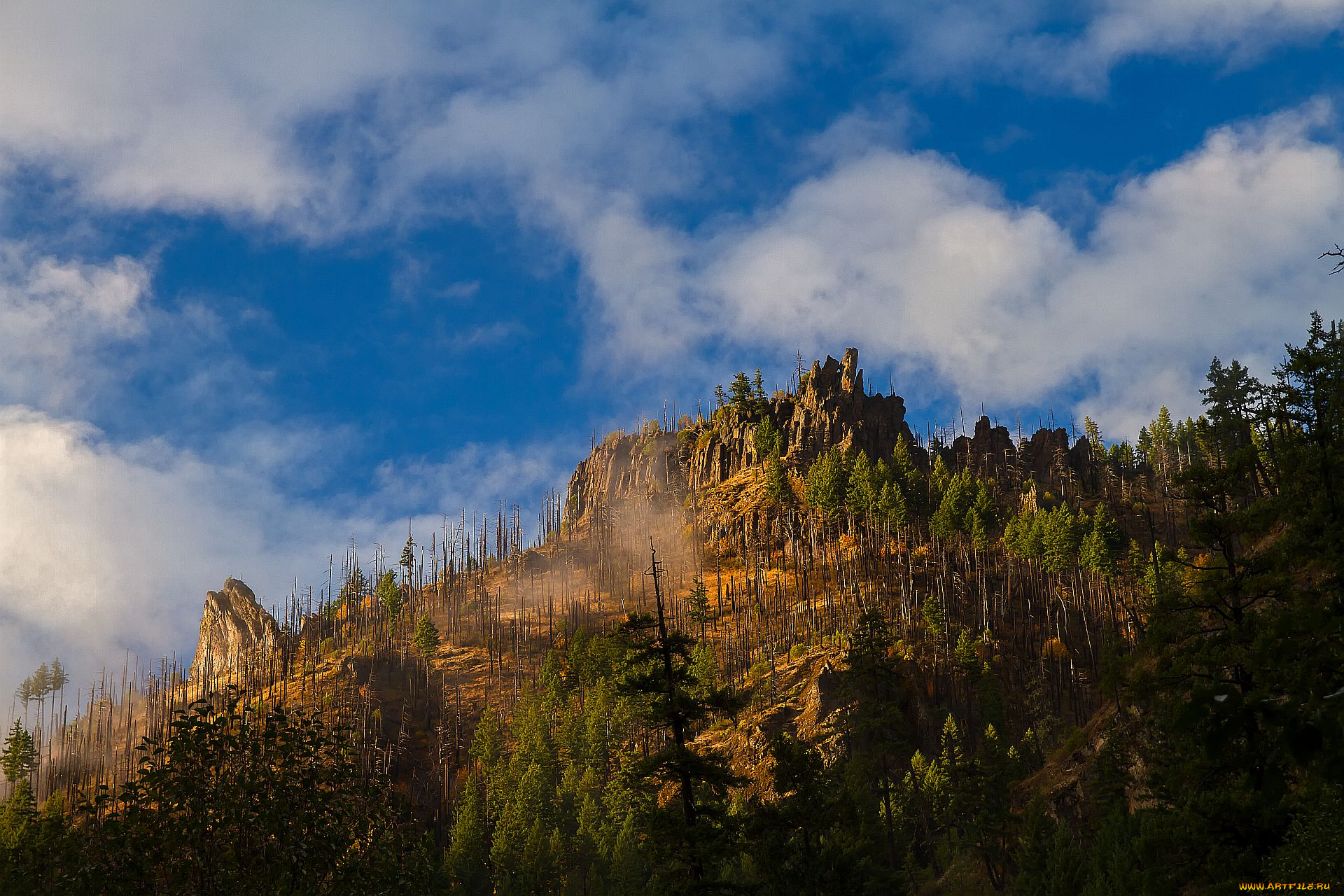 природа, горы, небо, деревья, пейзаж