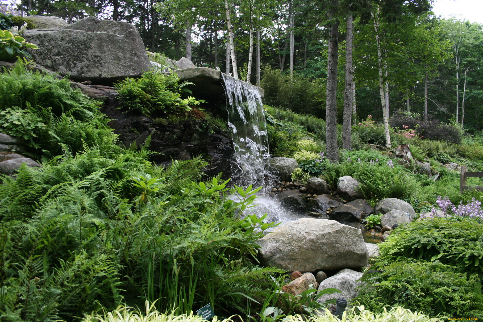 природа, водопады, водопад, лес