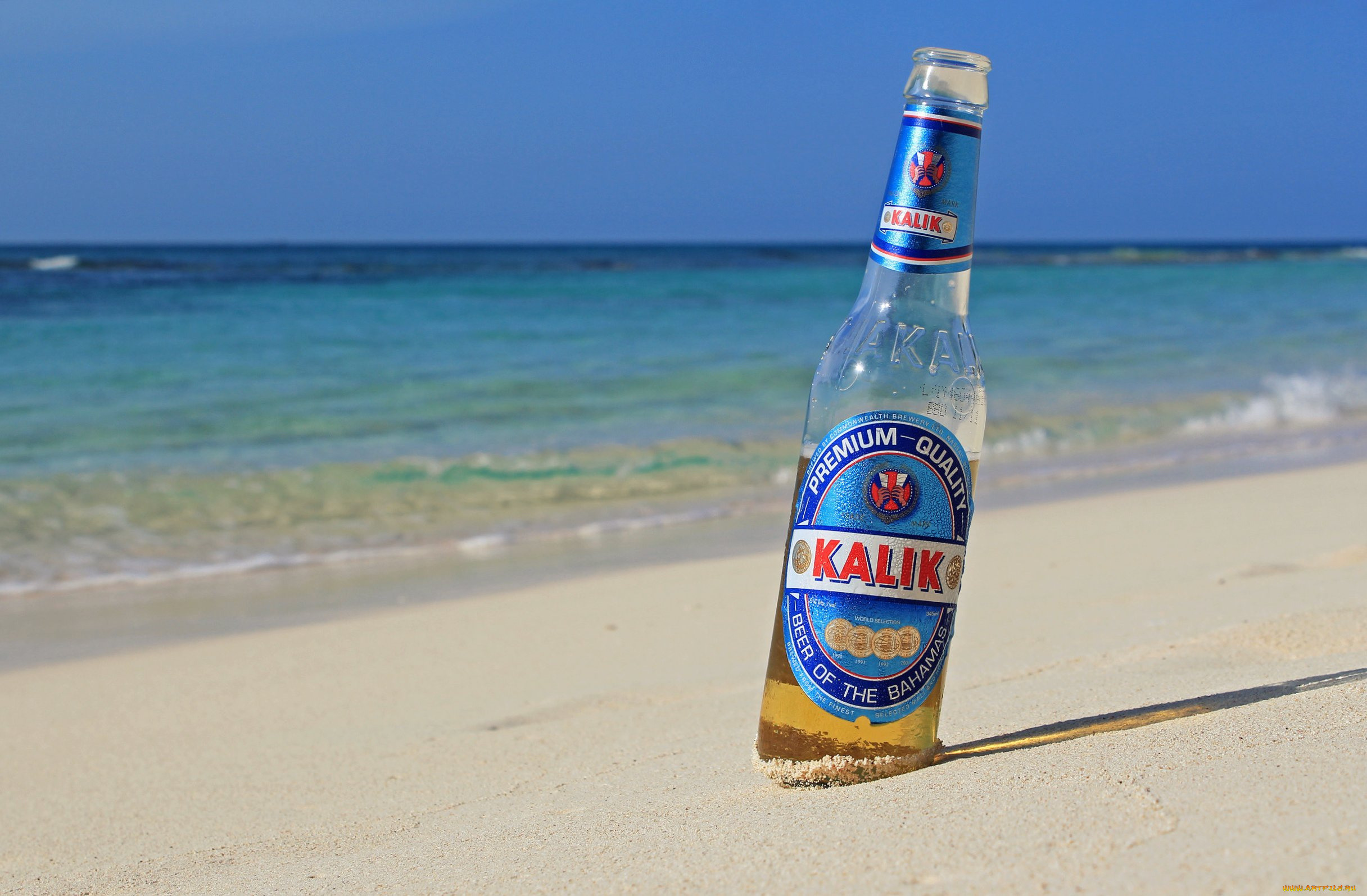 пиво, бренды, напитков, разное, тигр