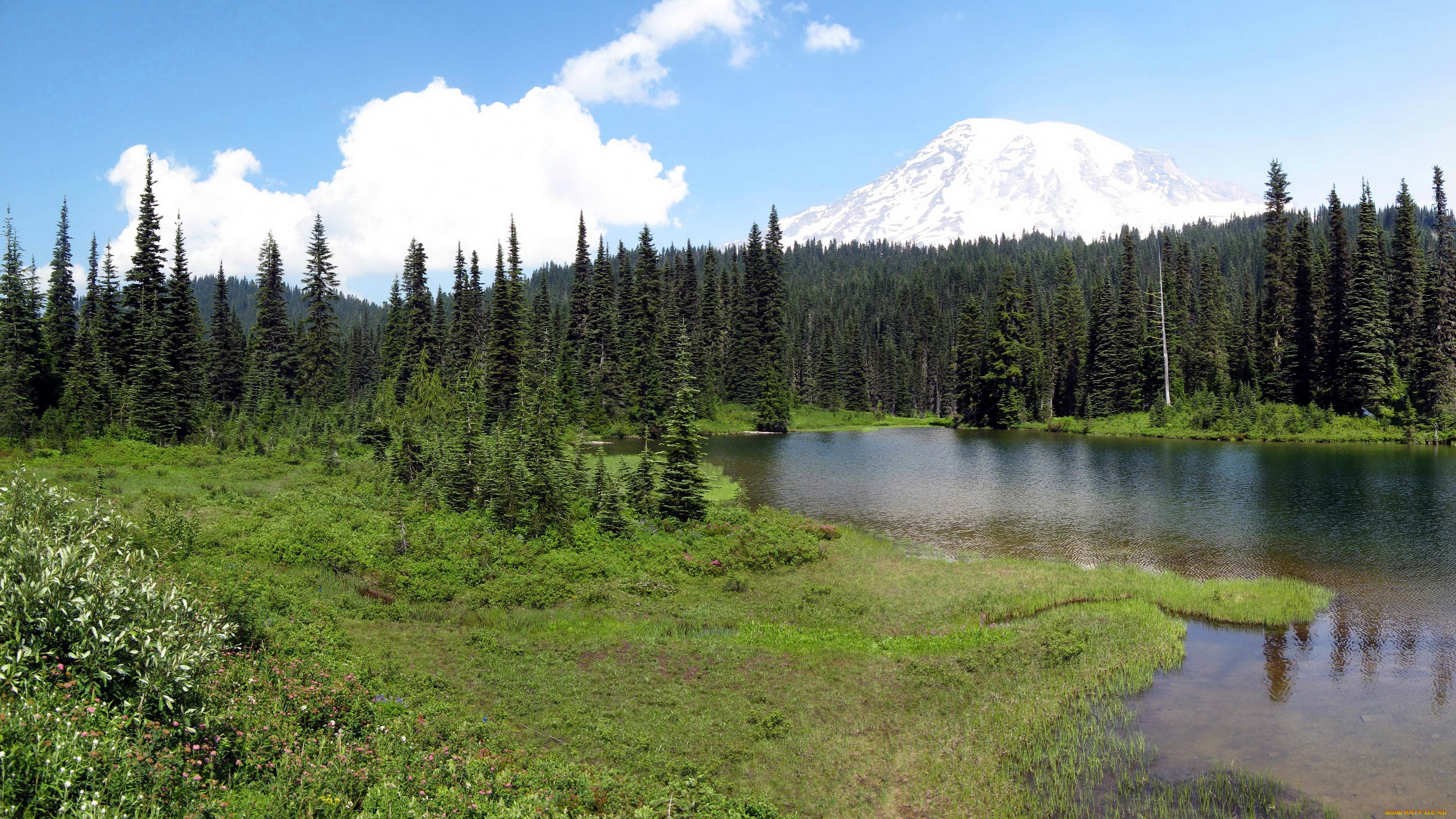mount, rainier, national, park, usa, washington, природа, реки, озера, кусты, лес, трава, озеро, ели