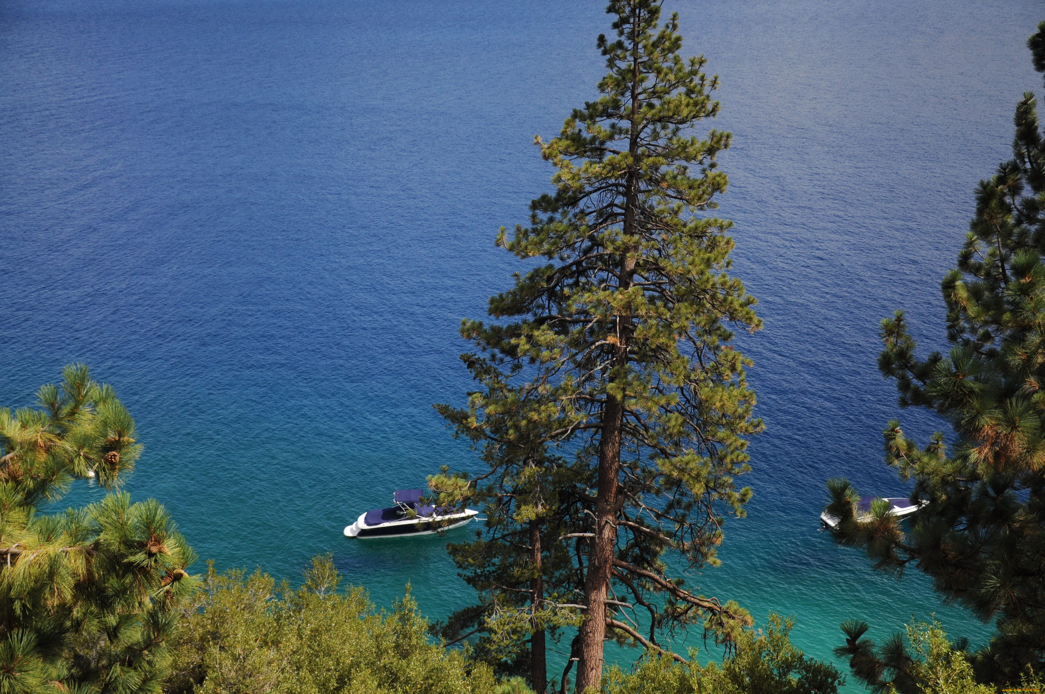 озеро, tahoe, nevada, сша, природа, реки, озера, деревья, кусты, lake