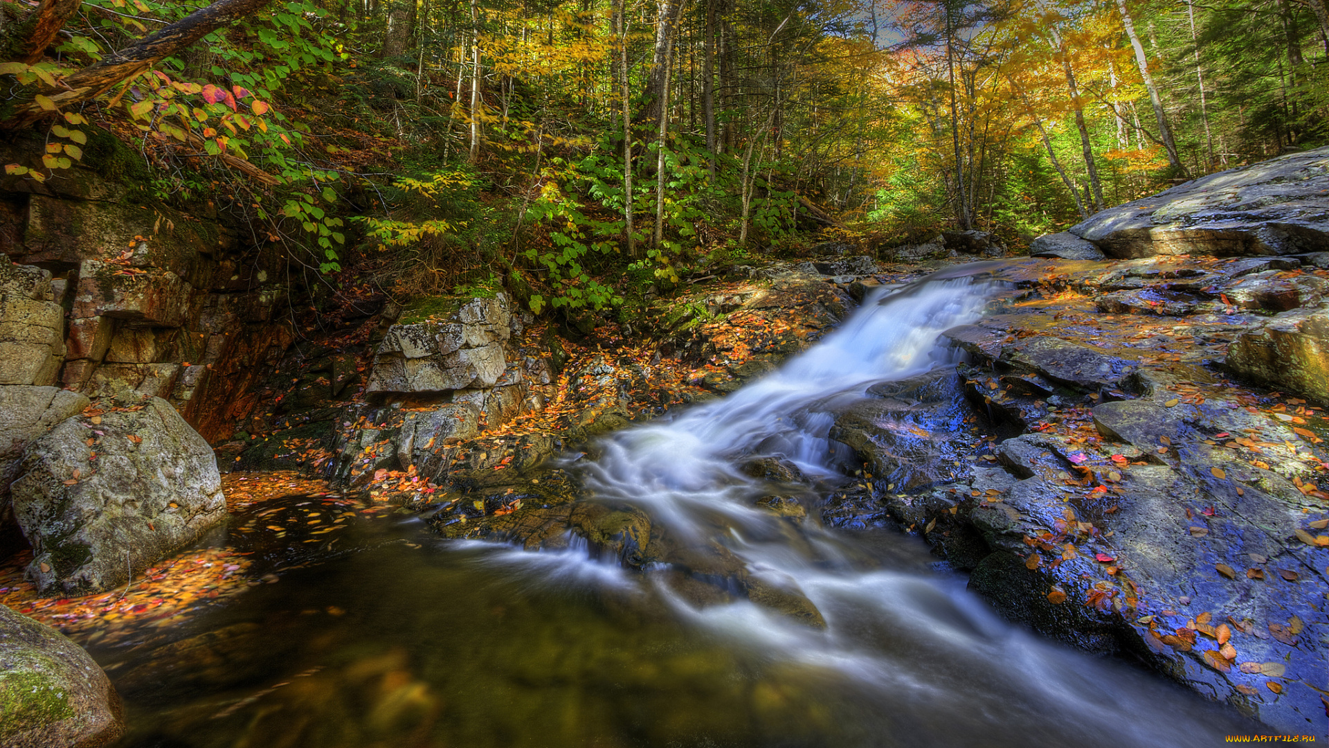 природа, реки, озера, лес, осень, река