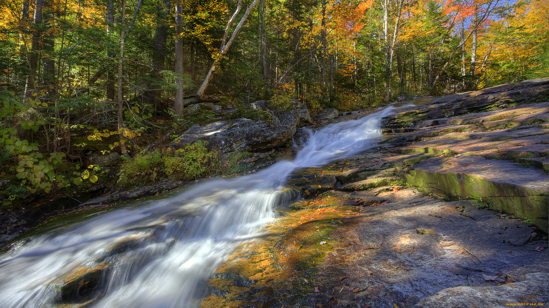 природа, реки, озера, осень, река, лес