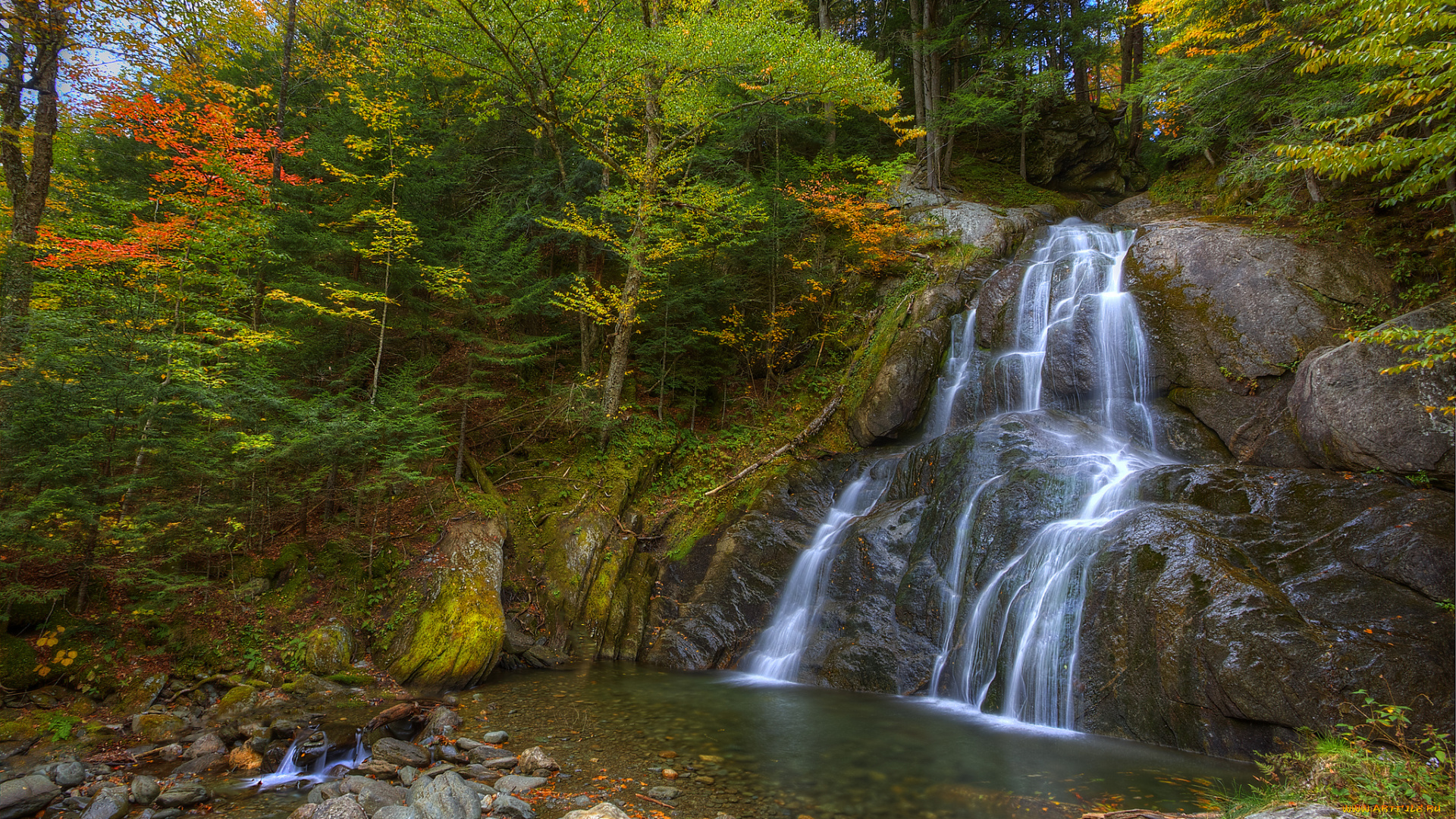 природа, водопады, лес, водопад, река