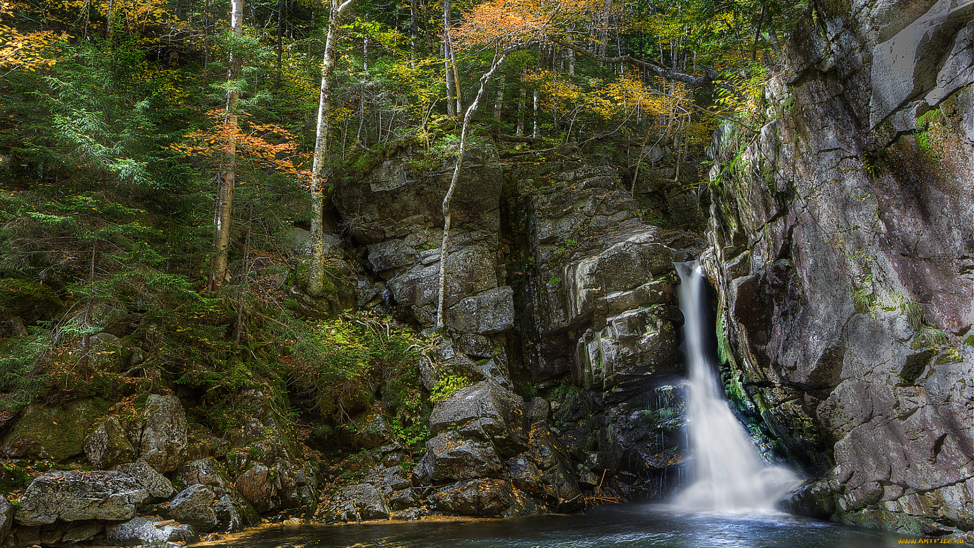 природа, водопады, лес, водопад, река