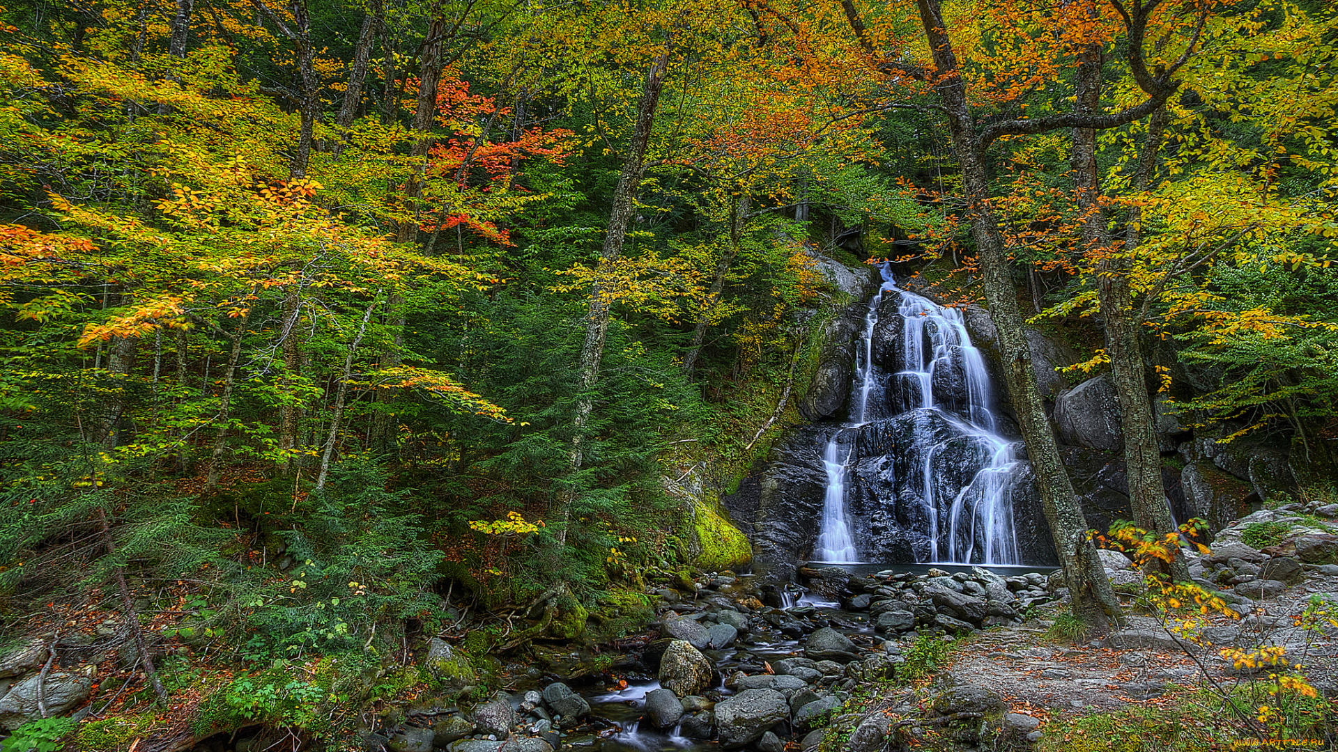 природа, водопады, лес, водопад, река
