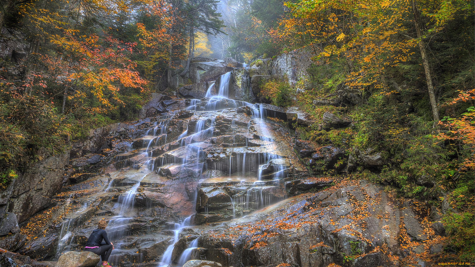 природа, водопады, река, водопад, лес
