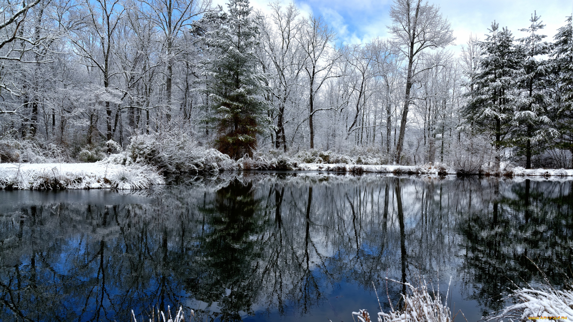 природа, зима, отражение, деревья, облака, озеро
