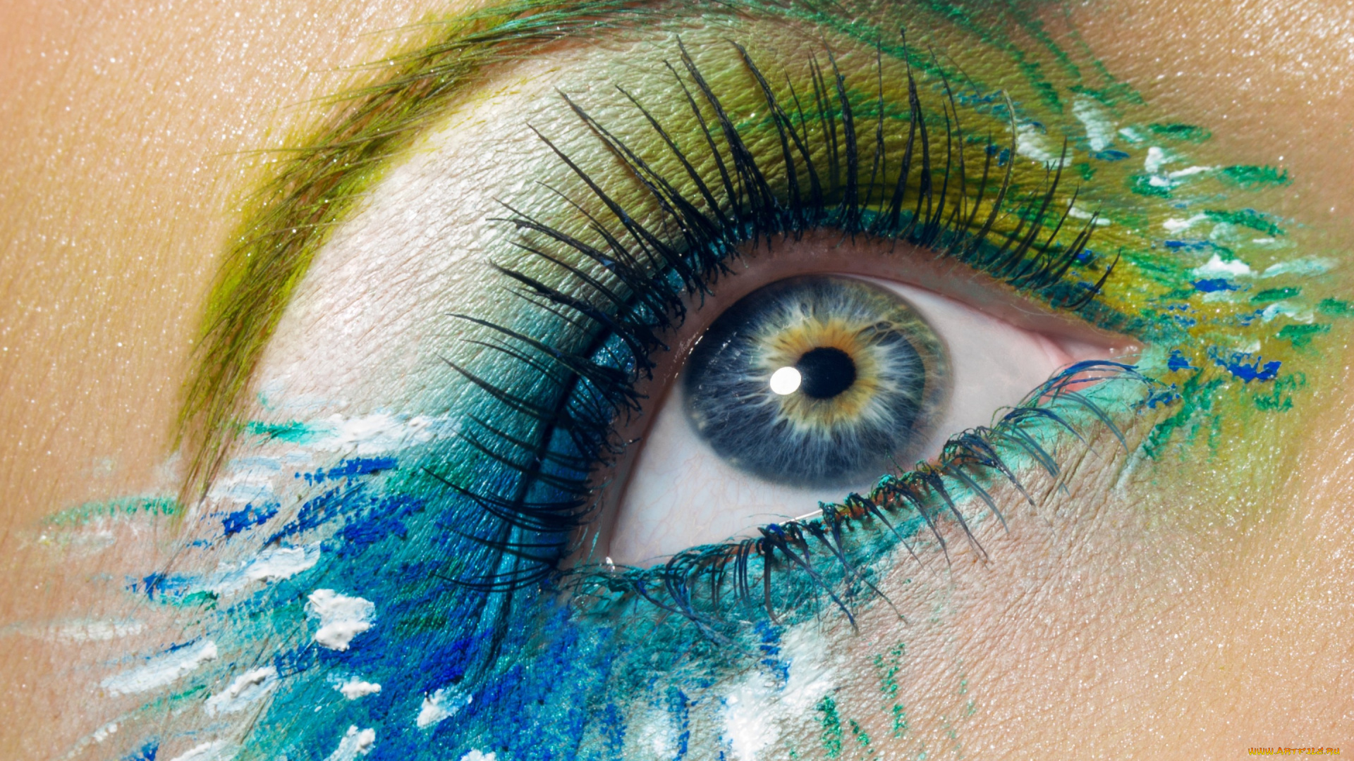 разное, глаза, макияж, брови, ресницы, глаз, макро