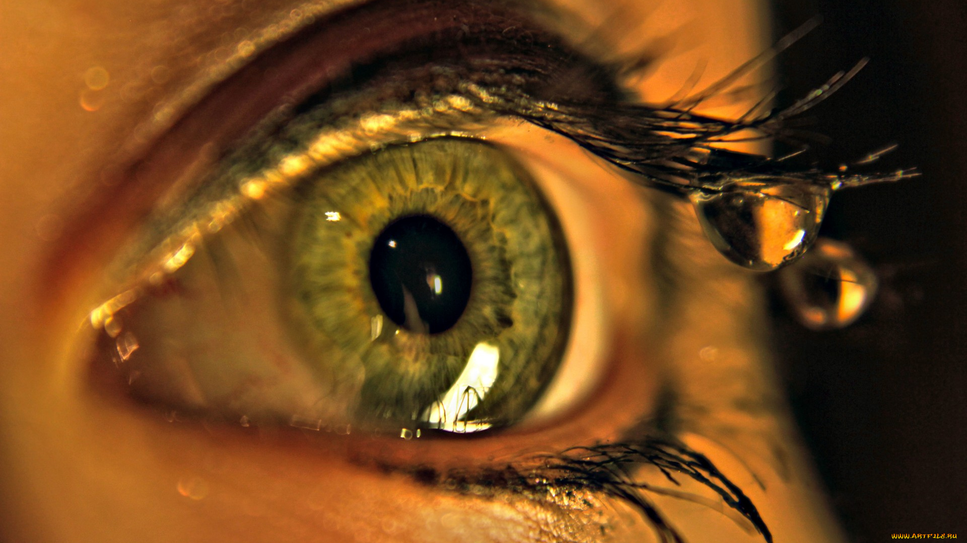 разное, глаза, вода, капля, зрачок, ресницы, глаз, macro, макро