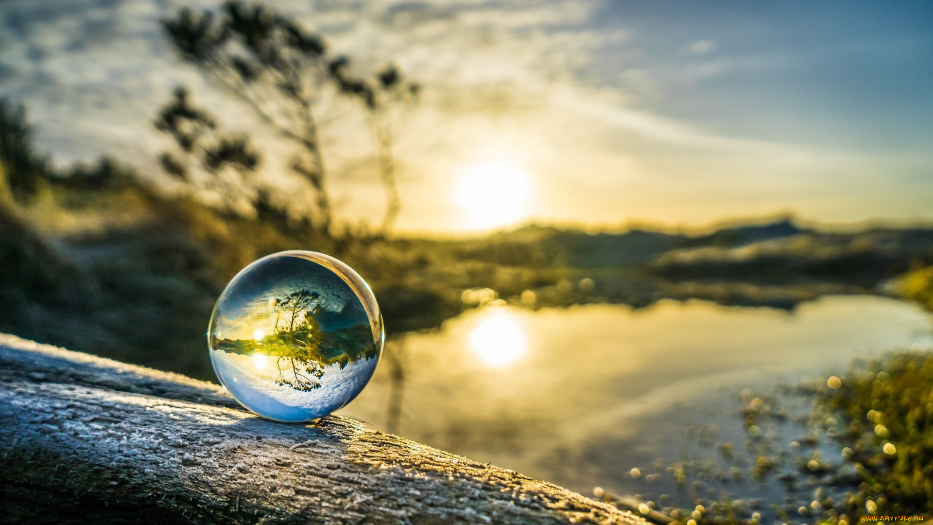 разное, капли, , брызги, , всплески, отражение, капля, природа, макро