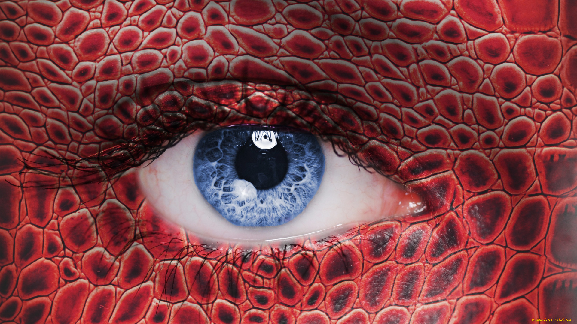 разное, компьютерный, дизайн, глаз, девушка, макро, чешуя, ресницы, голубые, глаза
