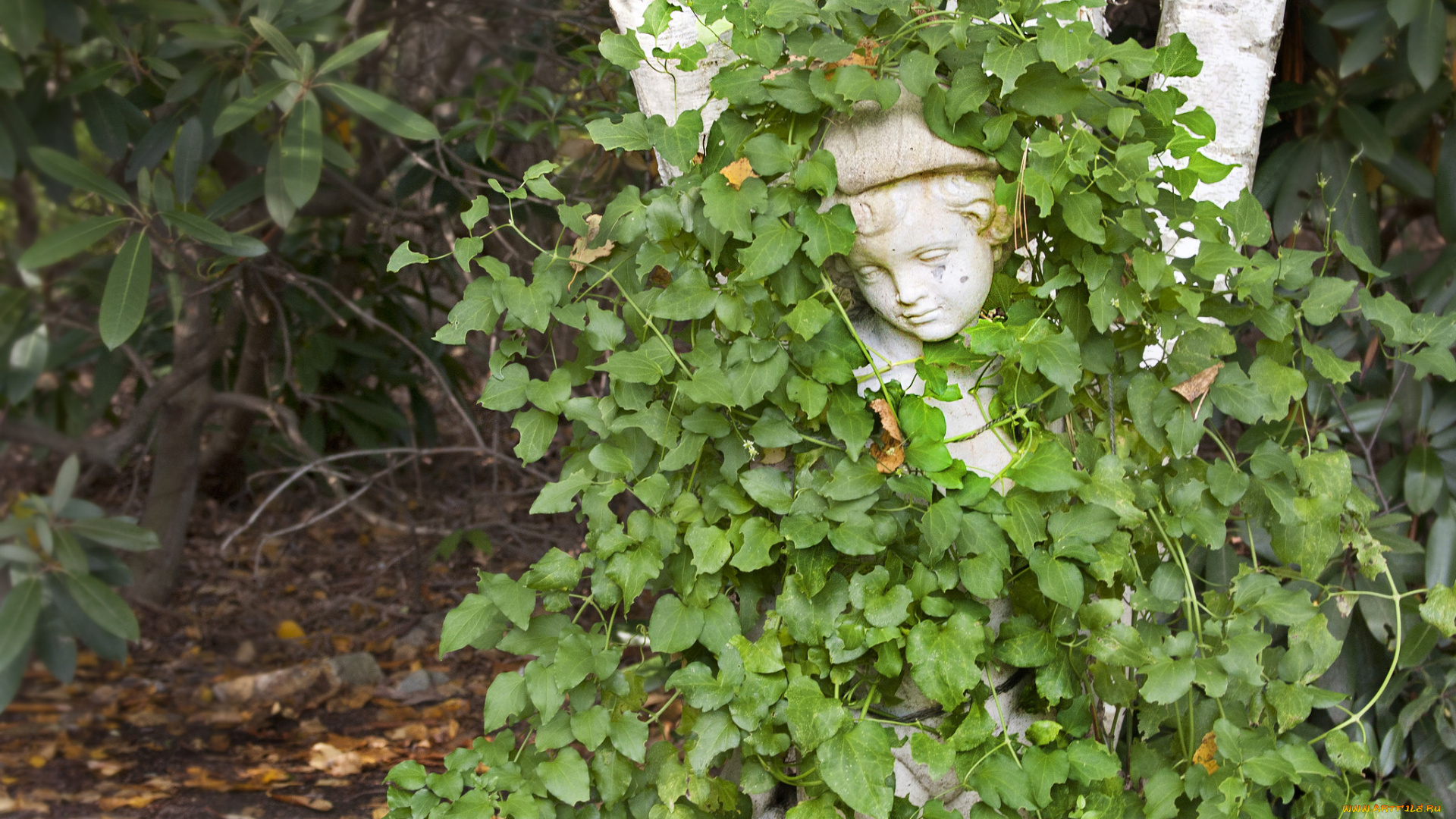 разное, садовые, и, парковые, скульптуры, растения, плющ, статуя