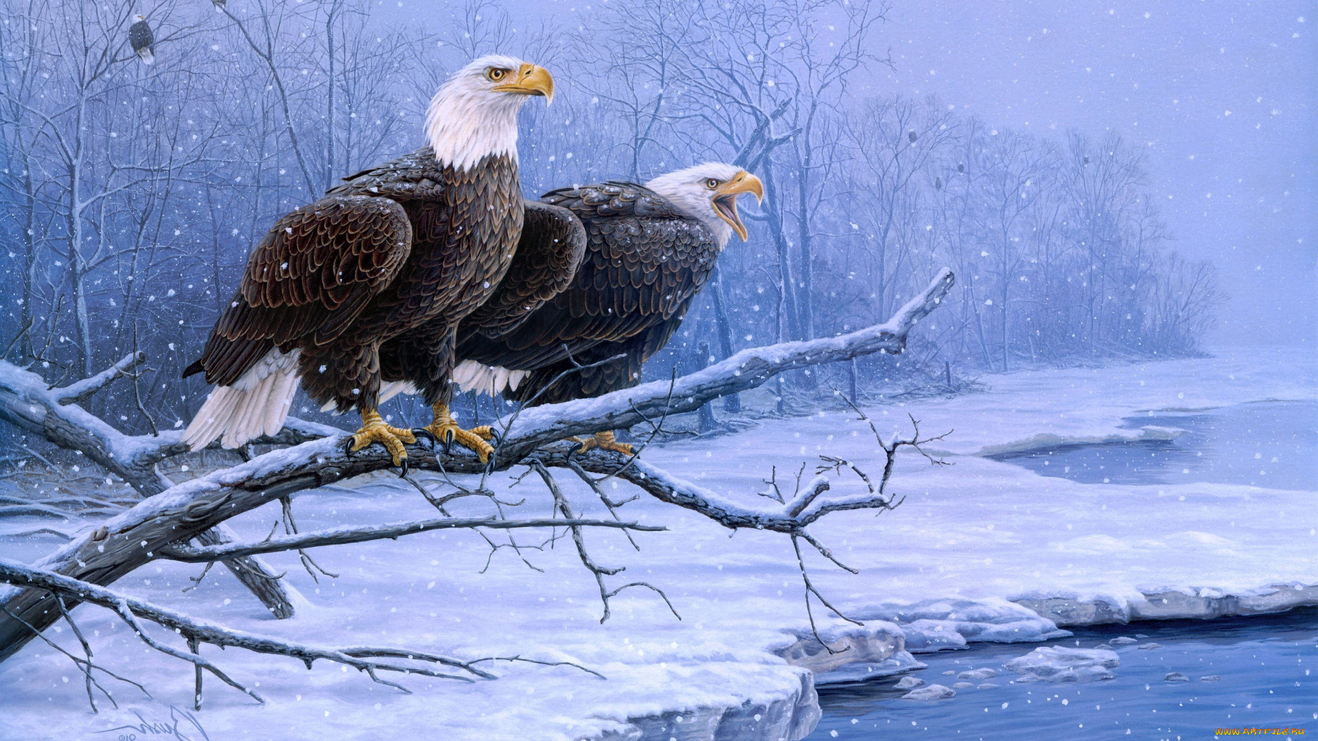 рисованные, животные, орлы, ветки, снег