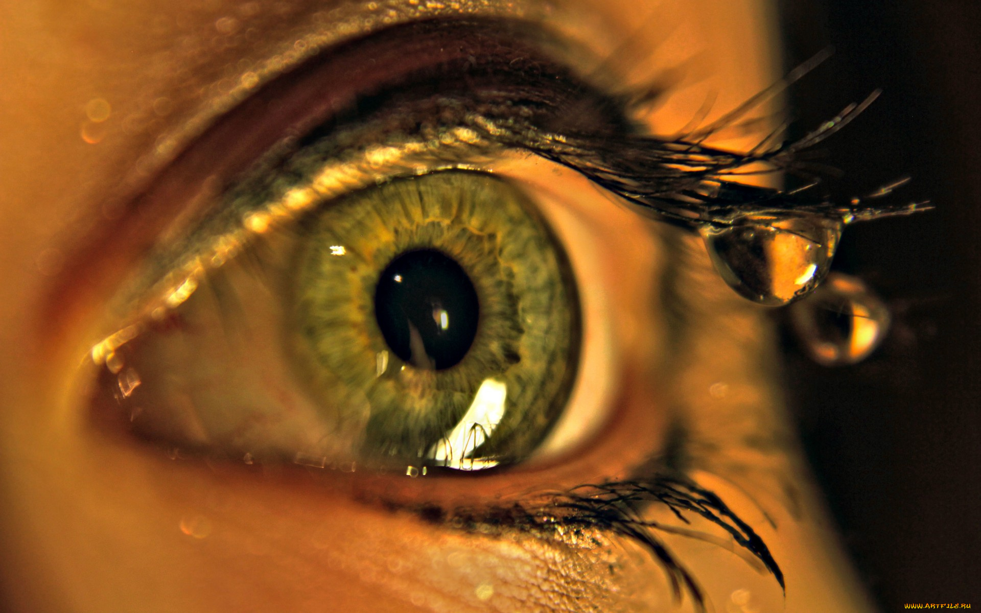 разное, глаза, вода, капля, зрачок, ресницы, глаз, macro, макро