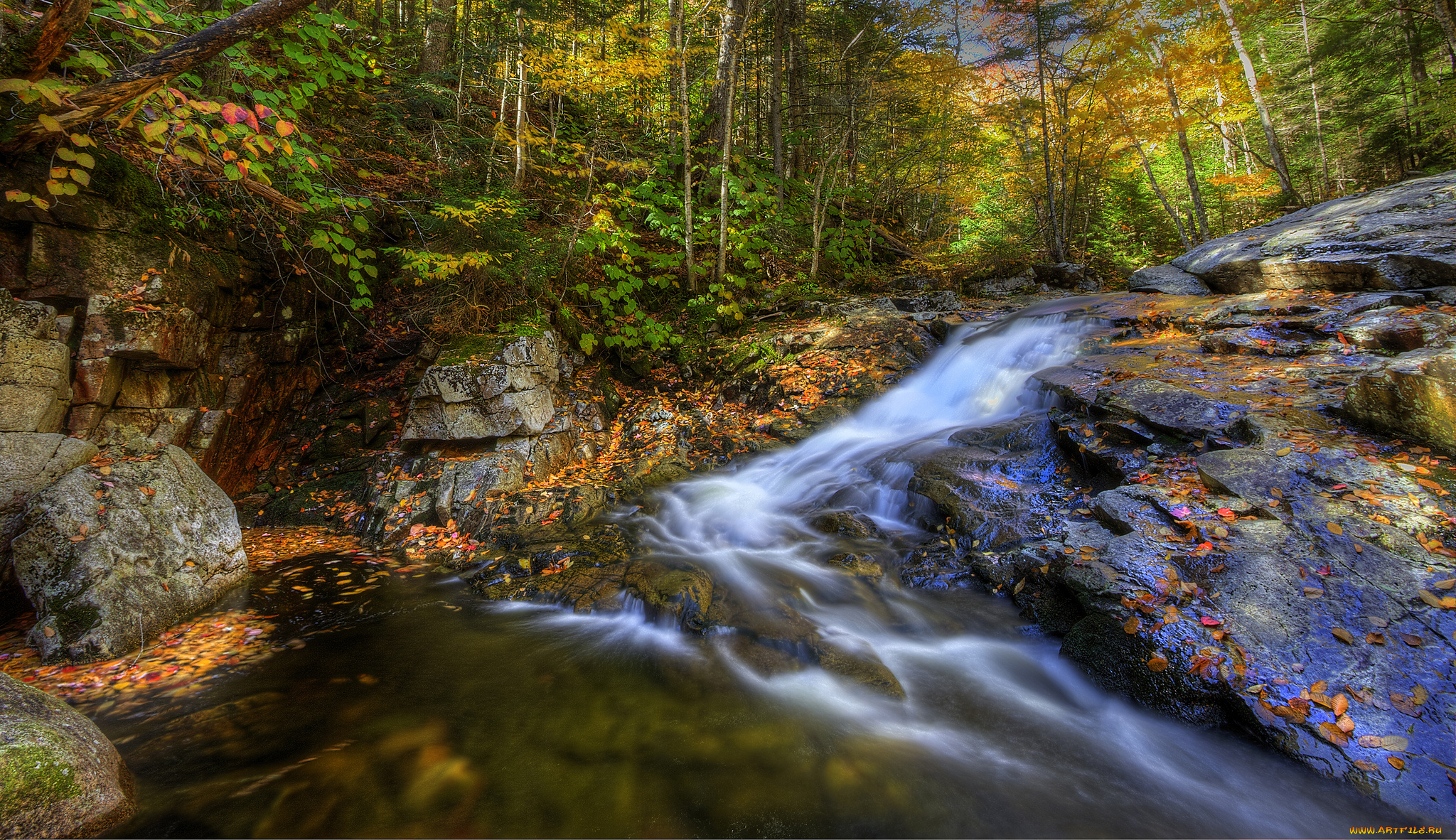 природа, реки, озера, лес, осень, река