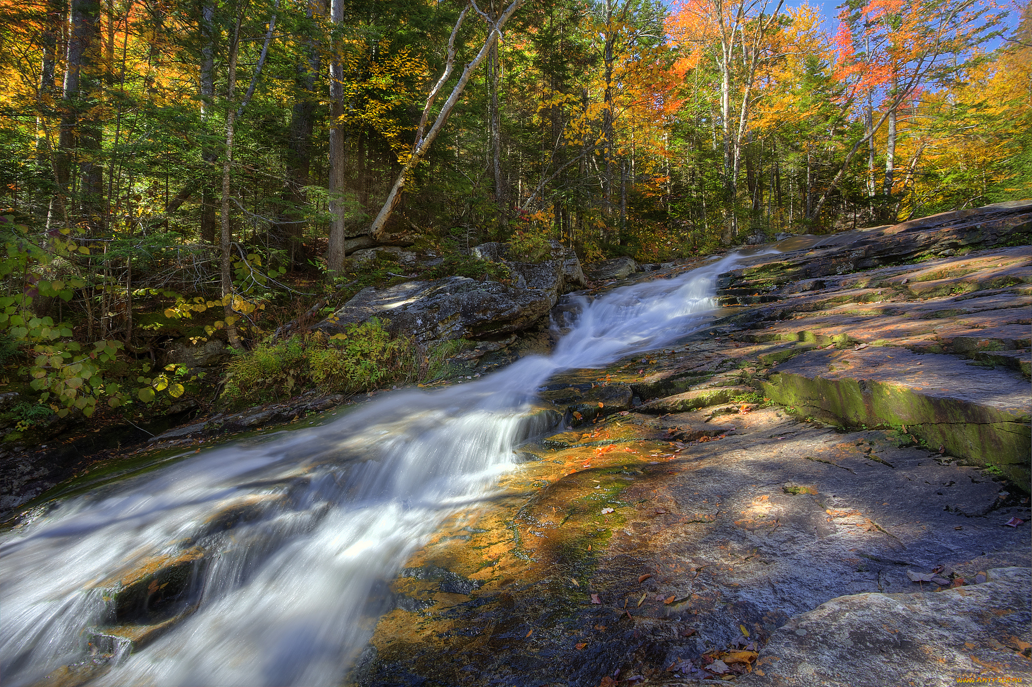 природа, реки, озера, осень, река, лес