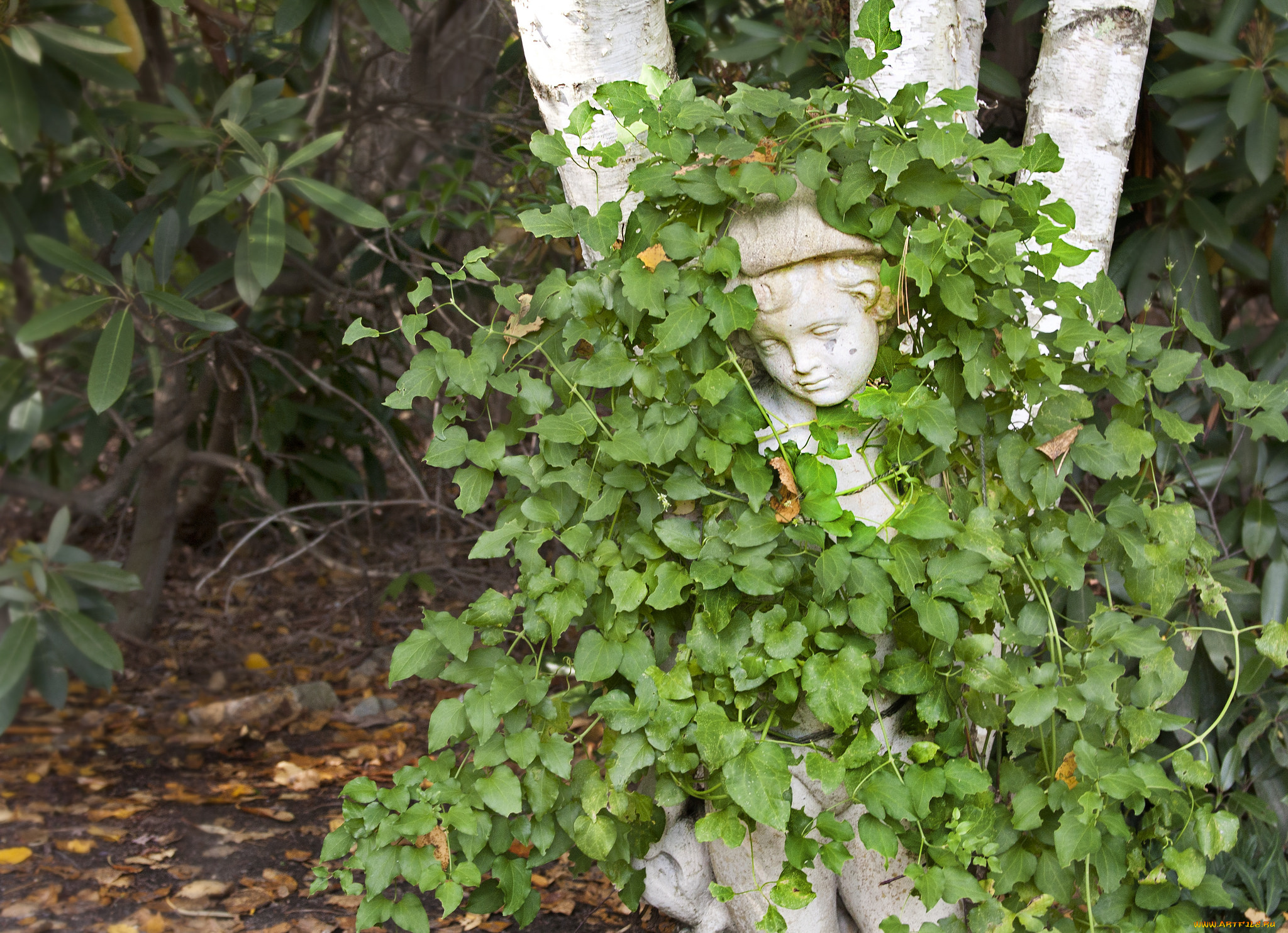 разное, садовые, и, парковые, скульптуры, растения, плющ, статуя