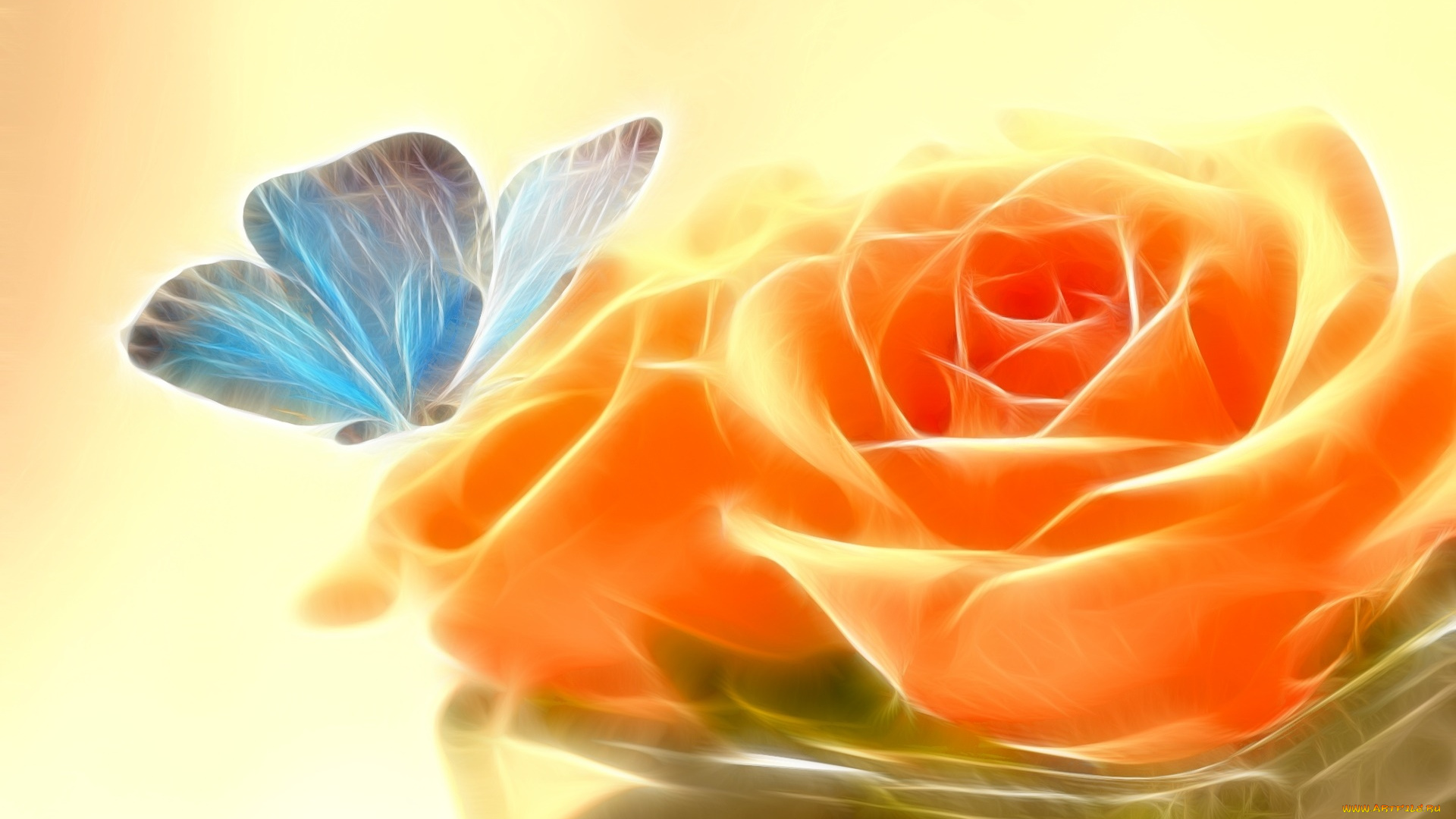 3д, графика, цветы, , flowers, роза, бабочка