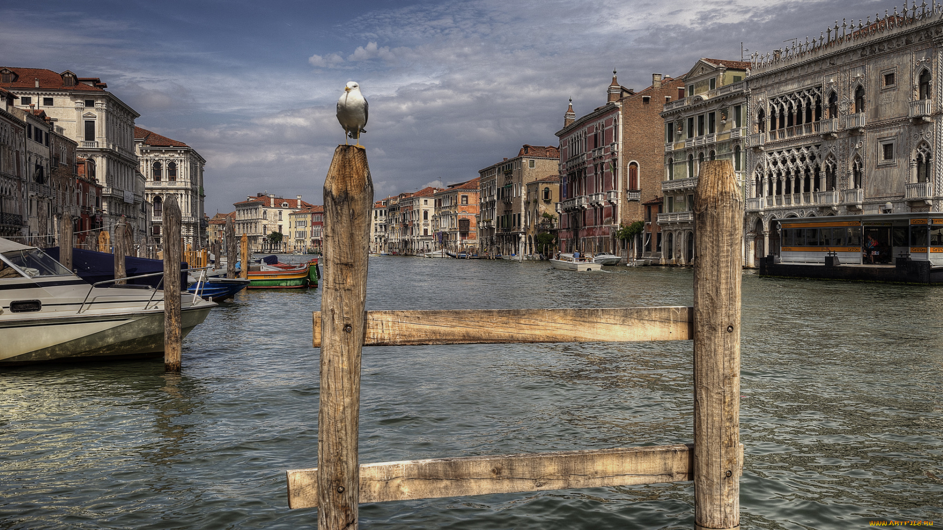 campo, della, pescaria, города, венеция, , италия, здания, канал