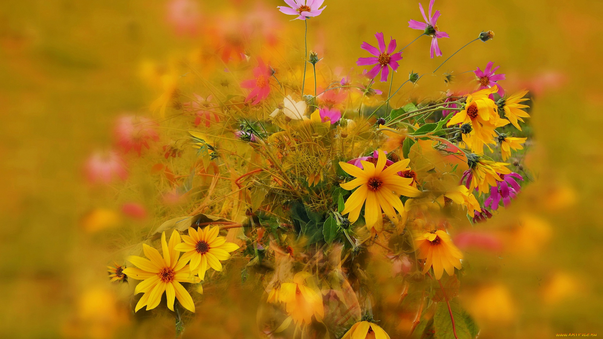 цветы, букеты, , композиции, осень, букет