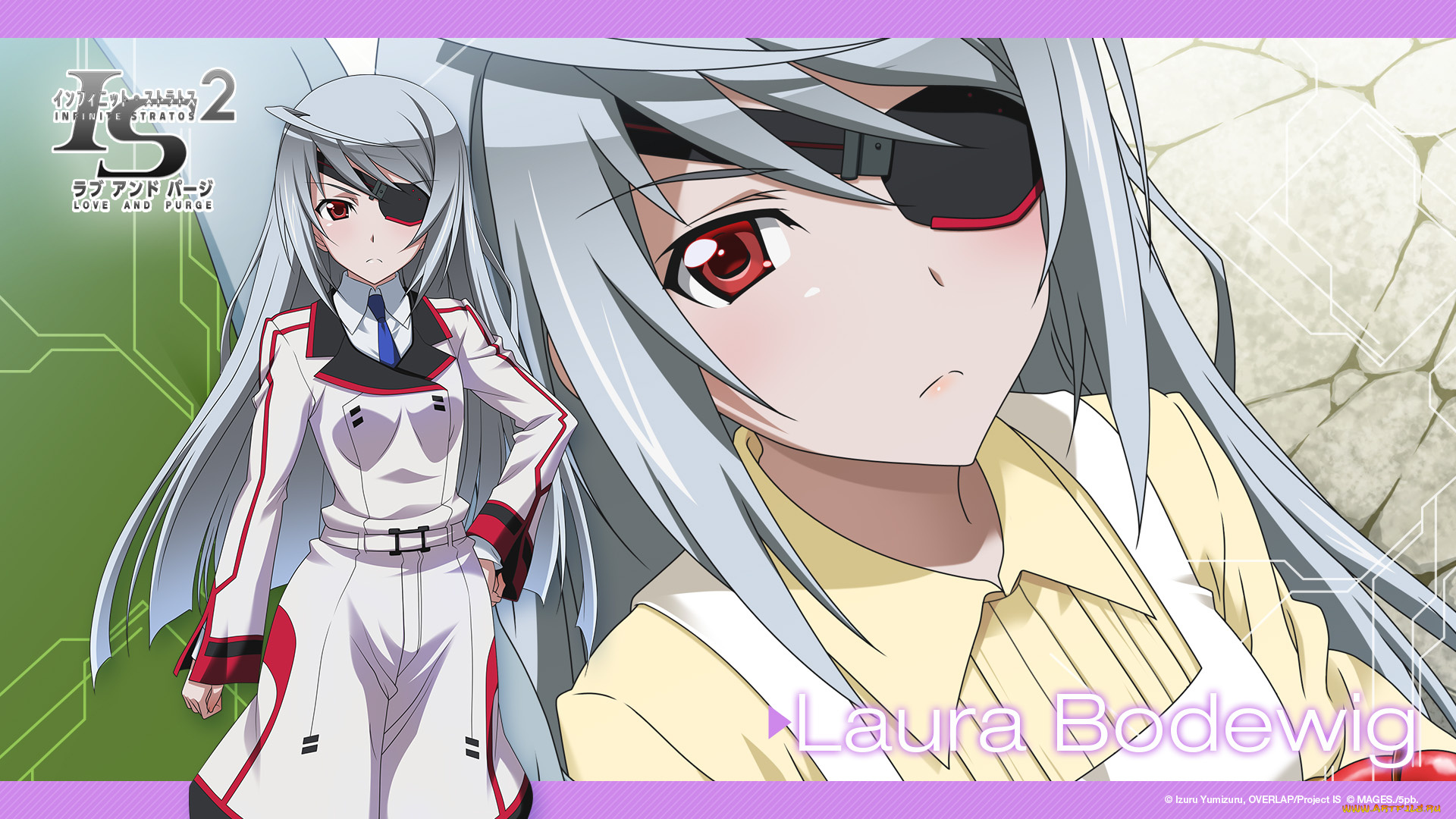 infinite, stratos, 2, аниме, infinite, stratos, девушка, взгляд, фон