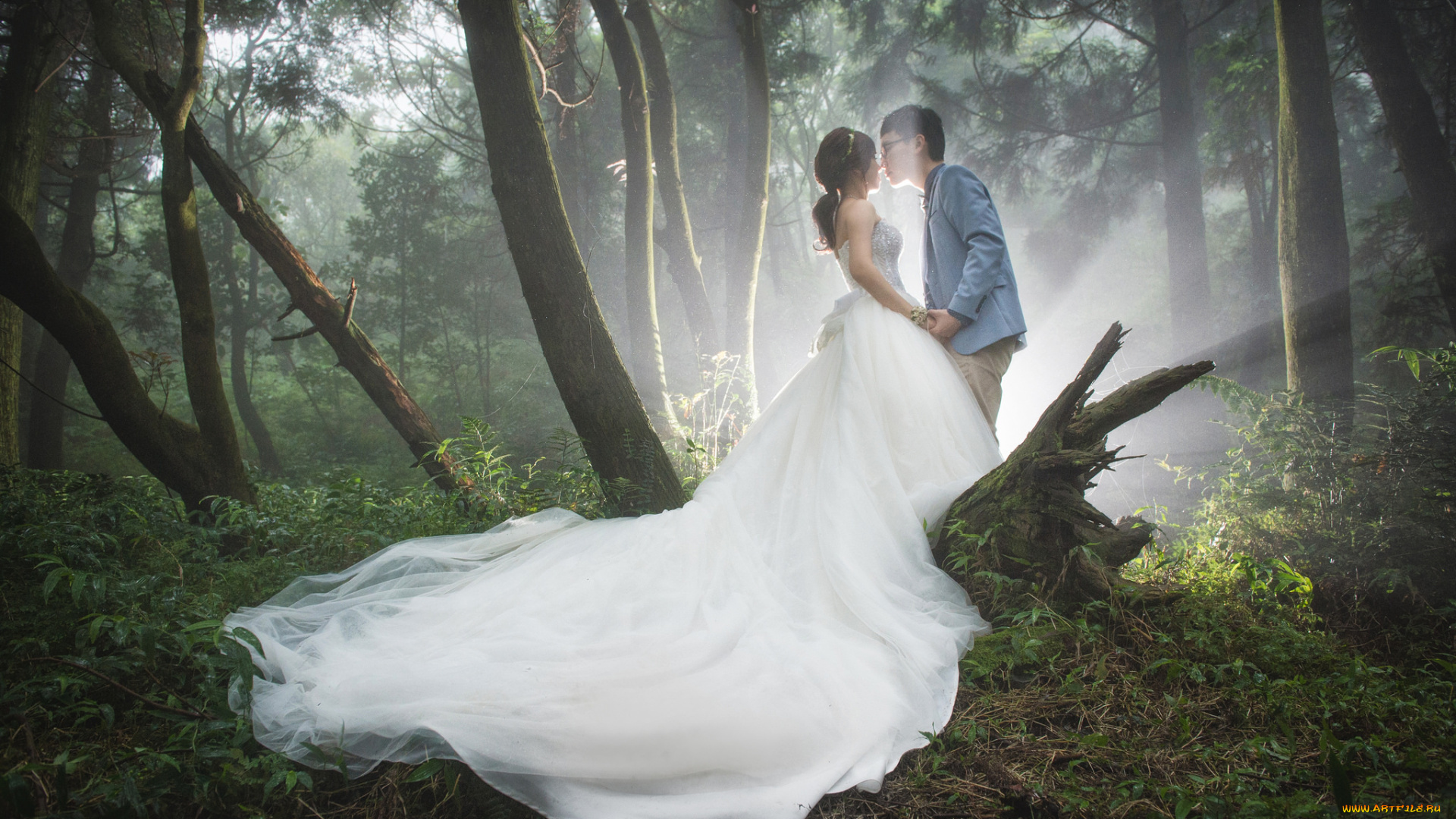 разное, мужчина, женщина, девушка, парень, жених, свадьба, невеста, любовь, туман, утро, пара