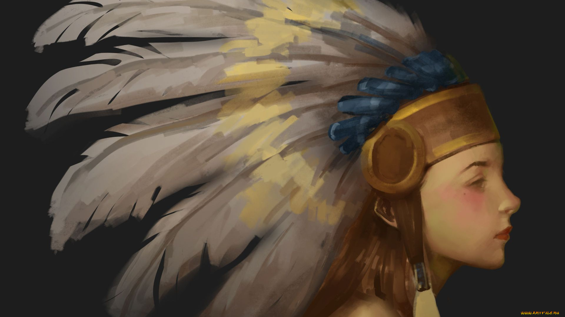 рисованное, люди, перья, индианка, профиль, девушка