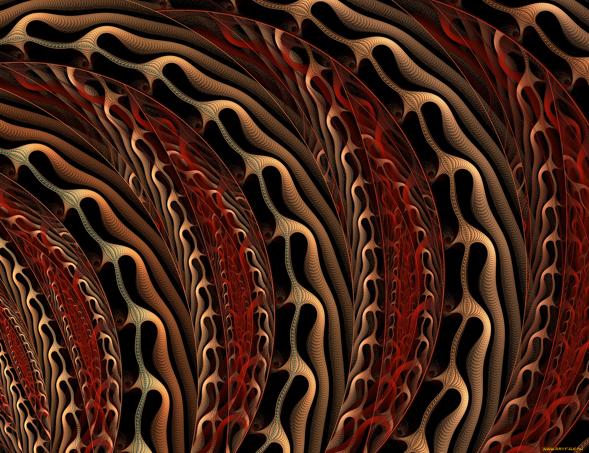 3д, графика, фракталы, , fractal, фон, узор, цвета