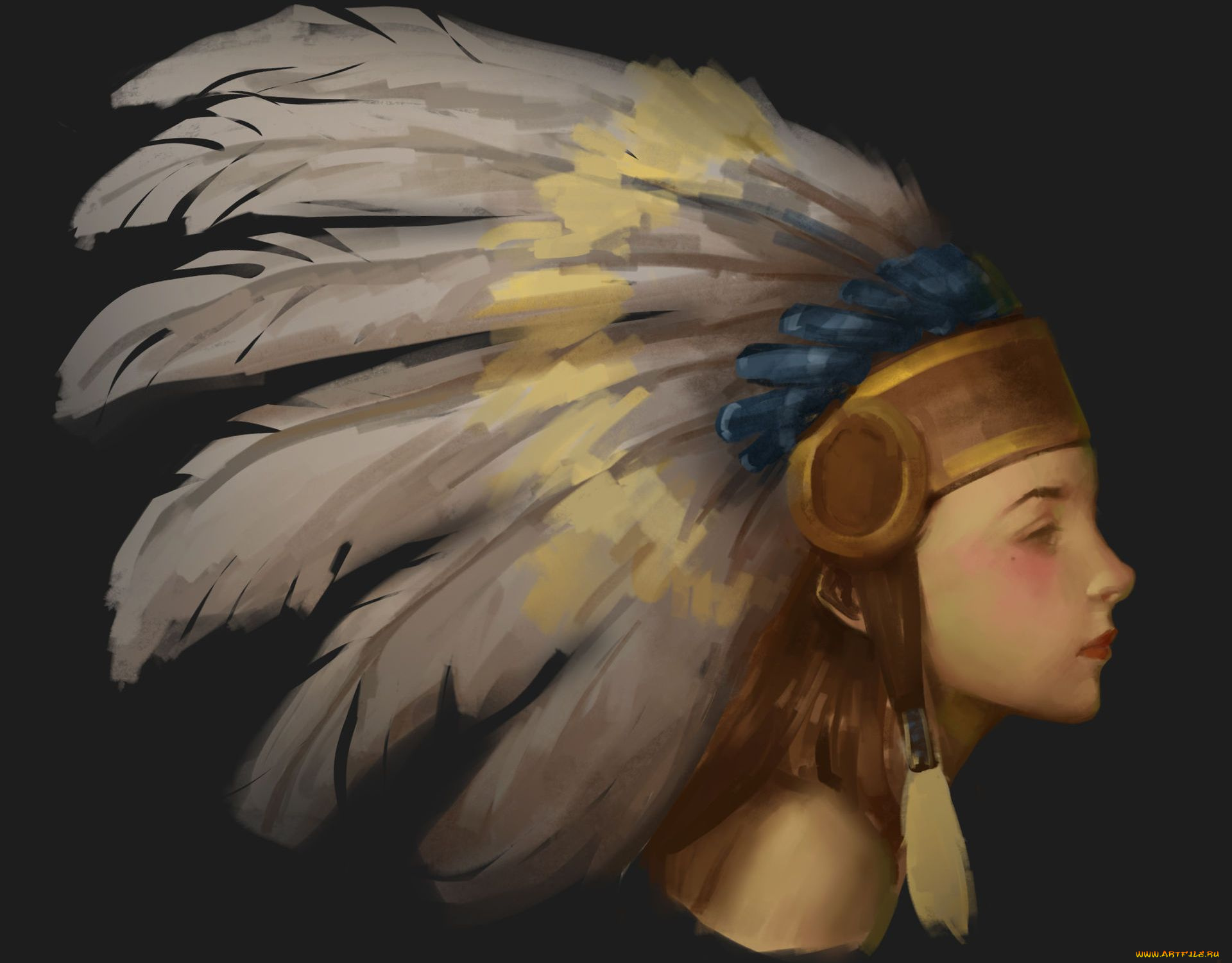 рисованное, люди, перья, индианка, профиль, девушка