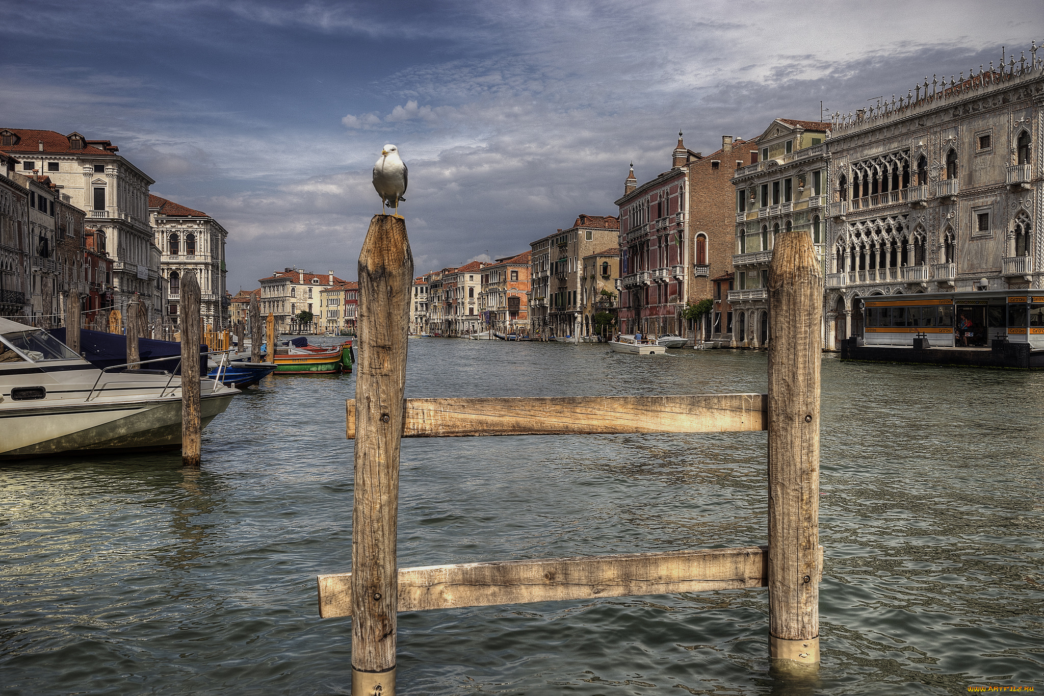 campo, della, pescaria, города, венеция, , италия, здания, канал