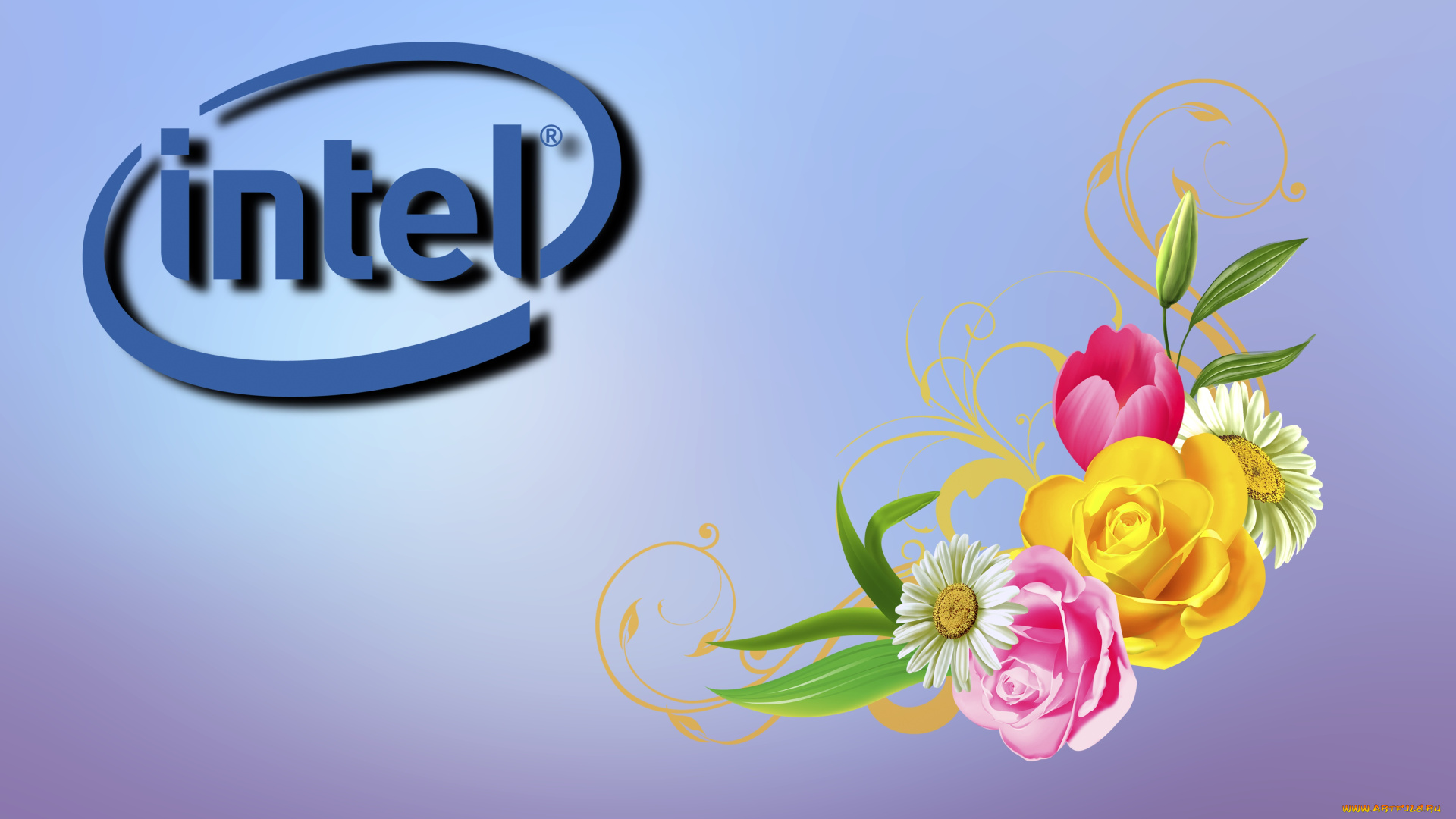 компьютеры, intel, фон, логотип