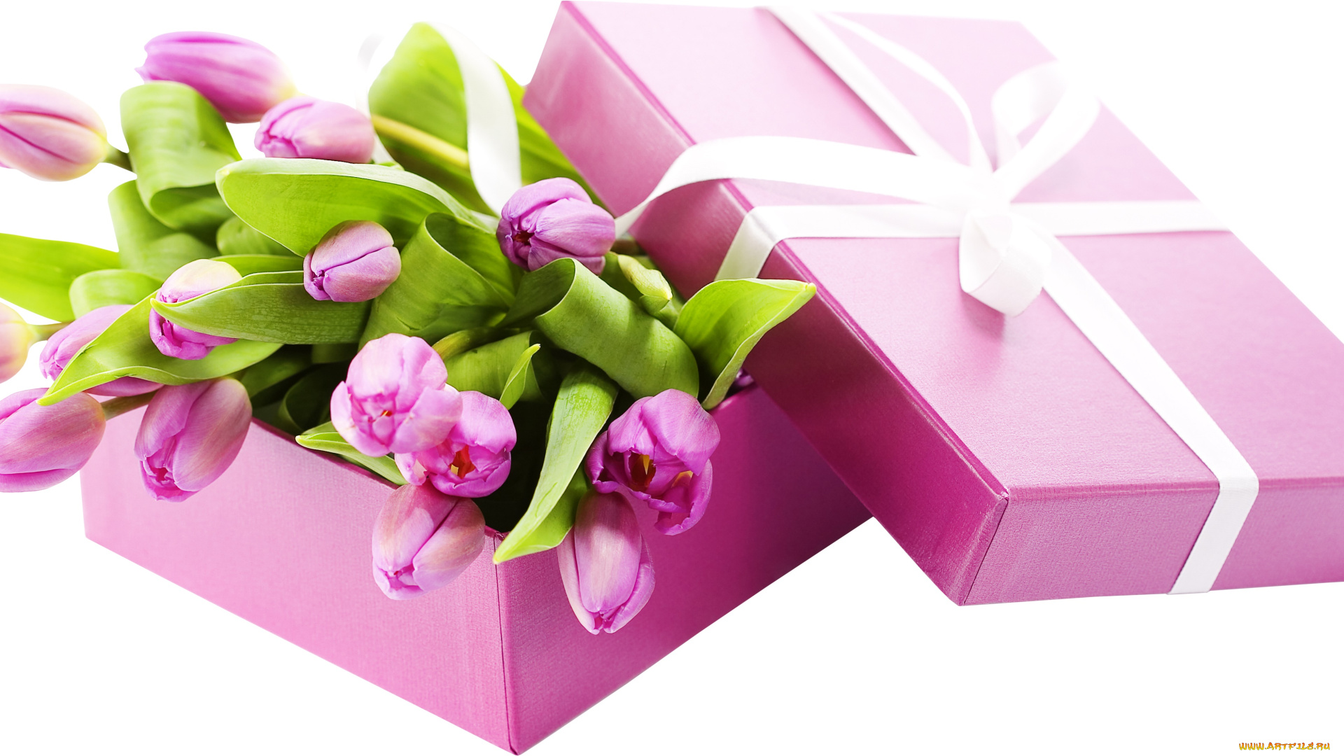 праздничные, день, святого, валентина, , сердечки, , любовь, тюльпаны, плдарок