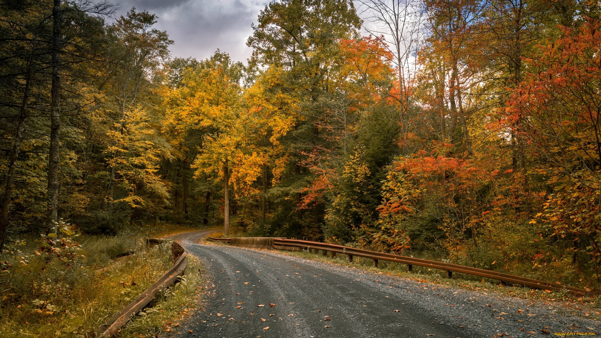 природа, дороги, дорога, деревья, осень