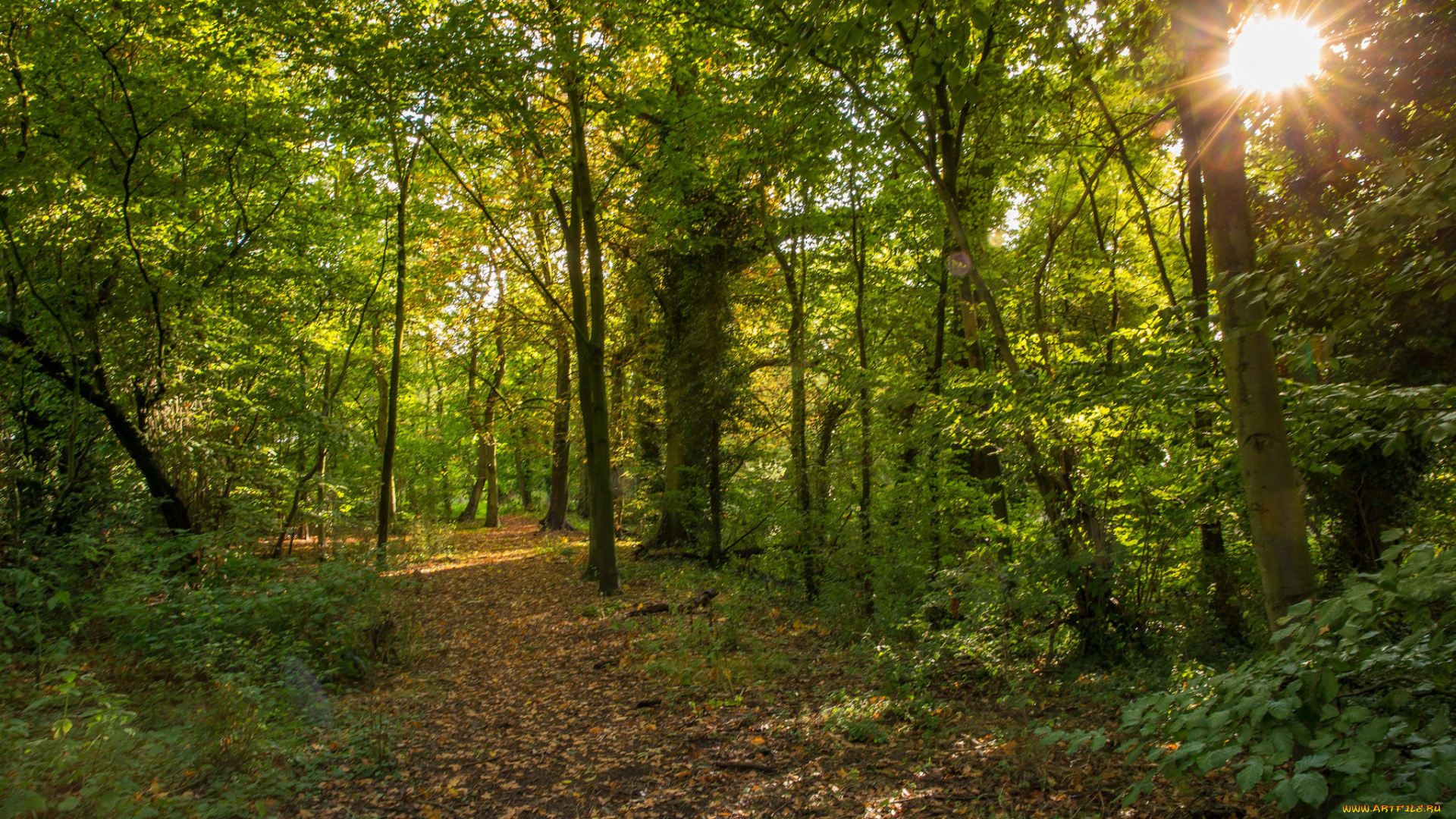 природа, дороги, простор