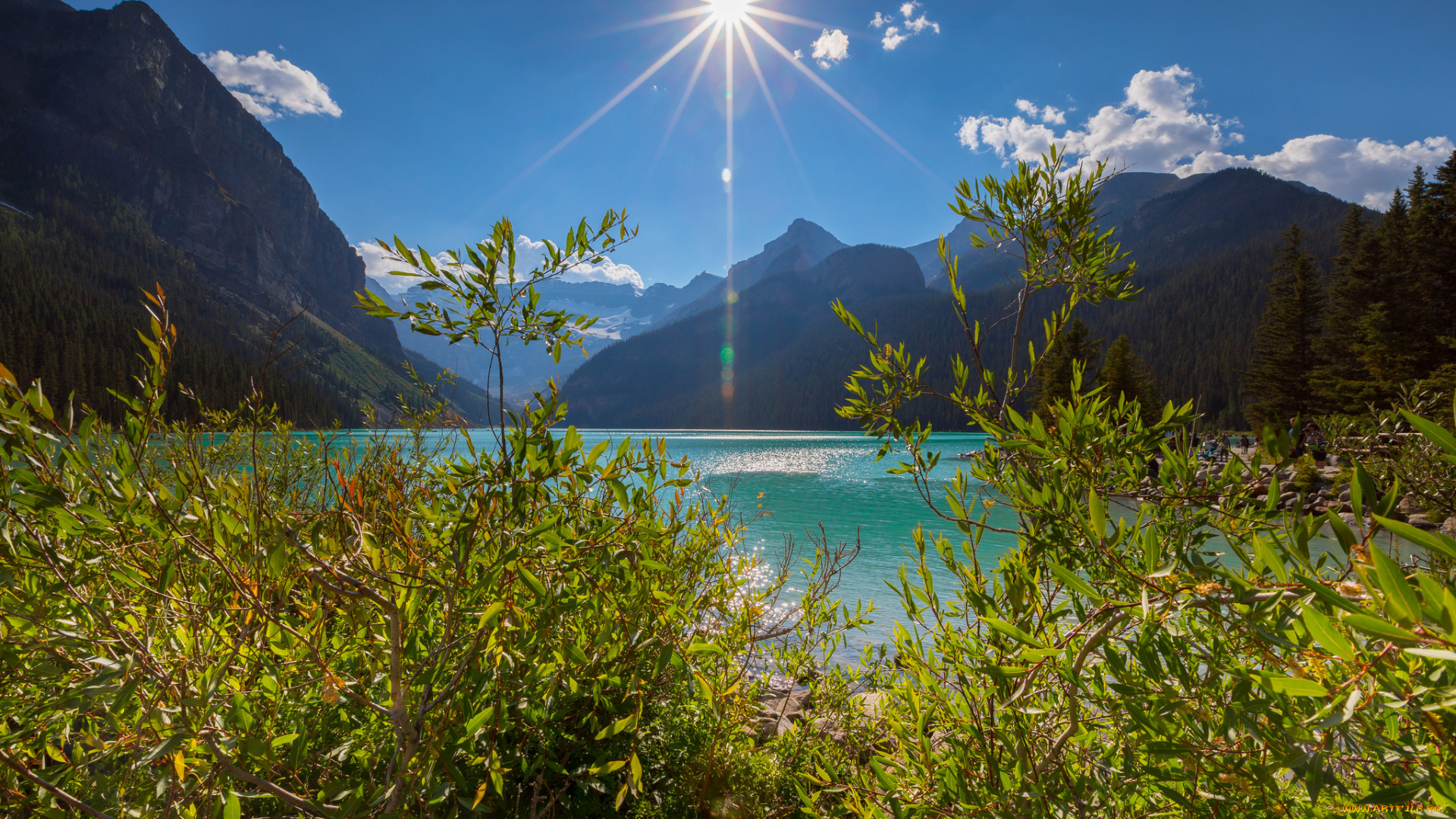 природа, пейзажи, простор