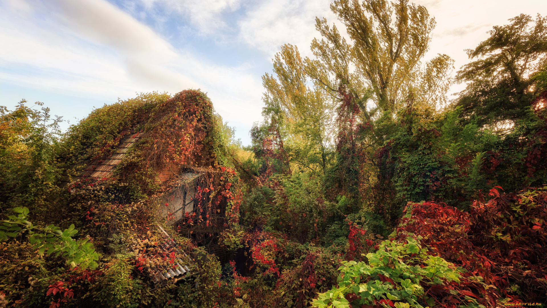 природа, пейзажи, простор