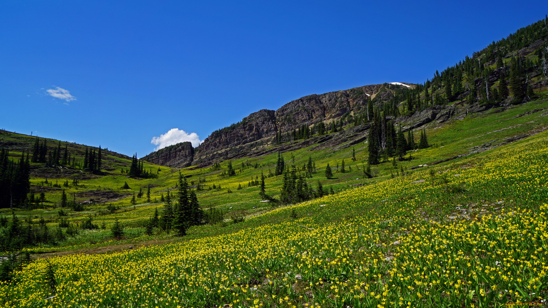 природа, пейзажи, простор