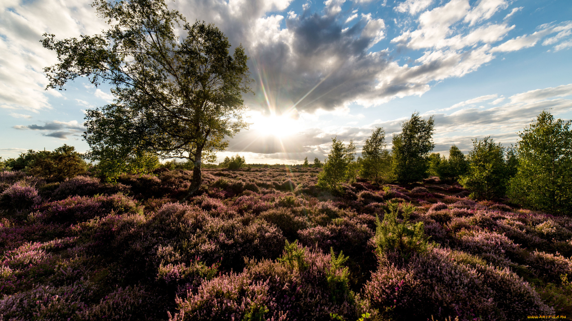 природа, пейзажи, простор