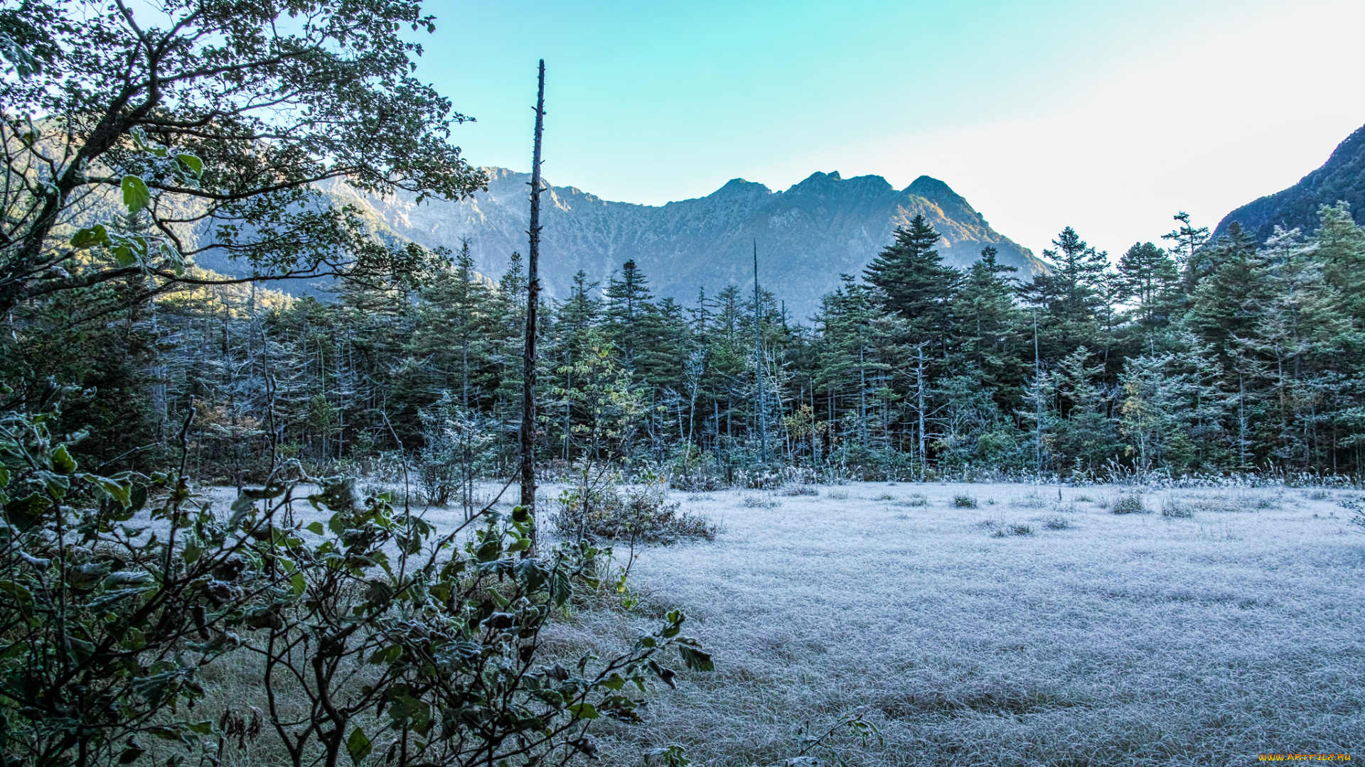 природа, пейзажи, простор