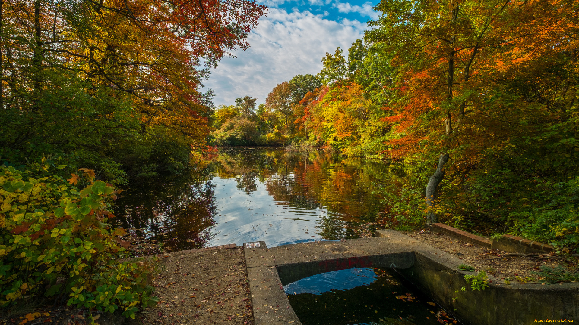 природа, реки, озера, простор