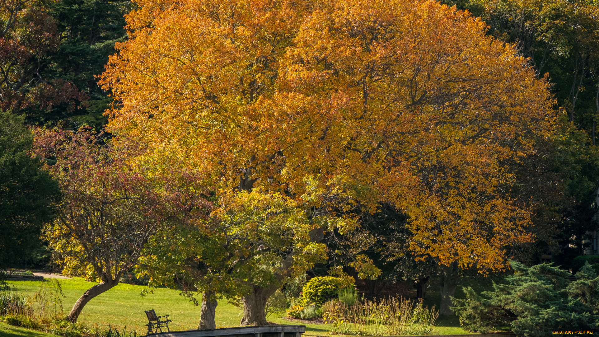 природа, реки, озера, простор
