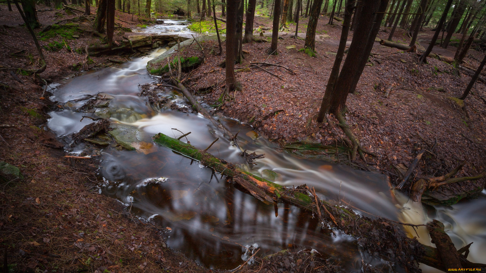 природа, реки, озера, простор