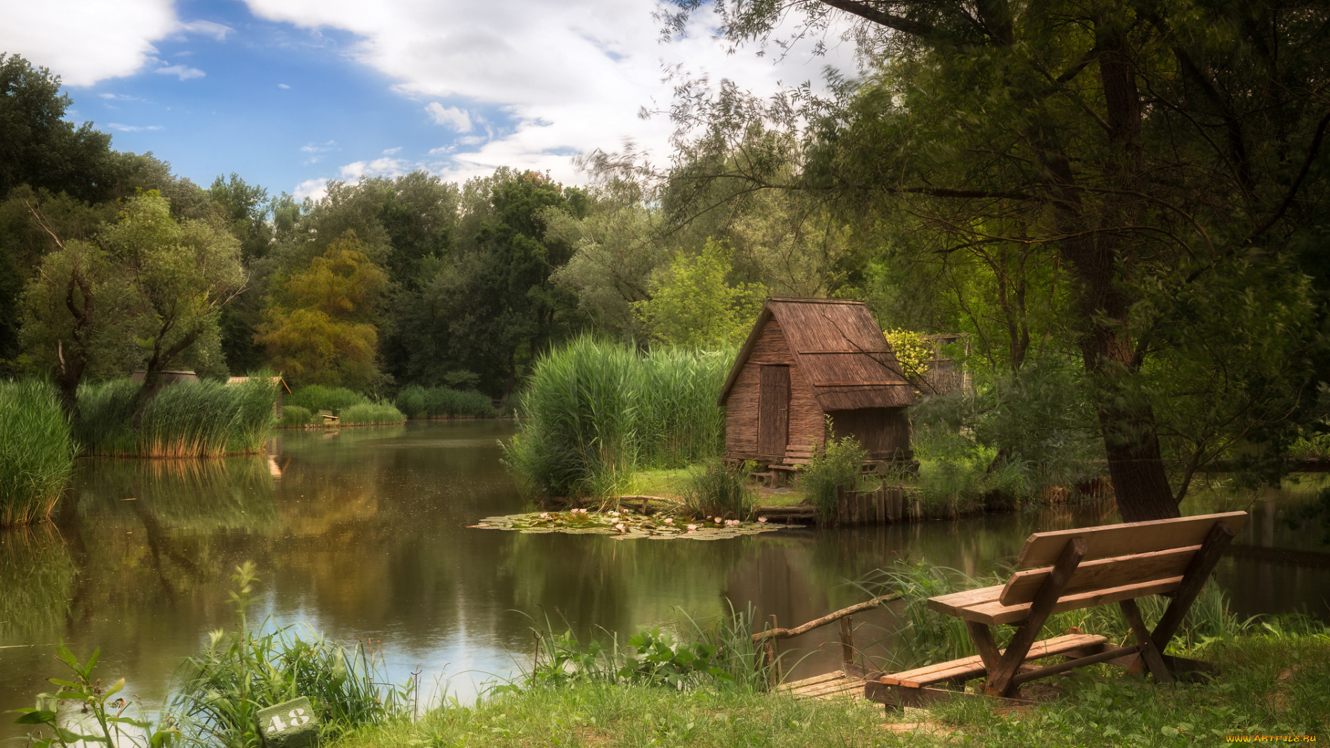 природа, реки, озера, простор