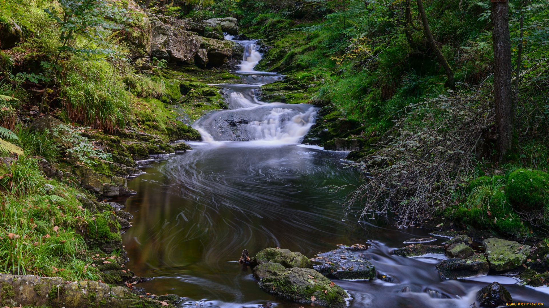 природа, реки, озера, простор