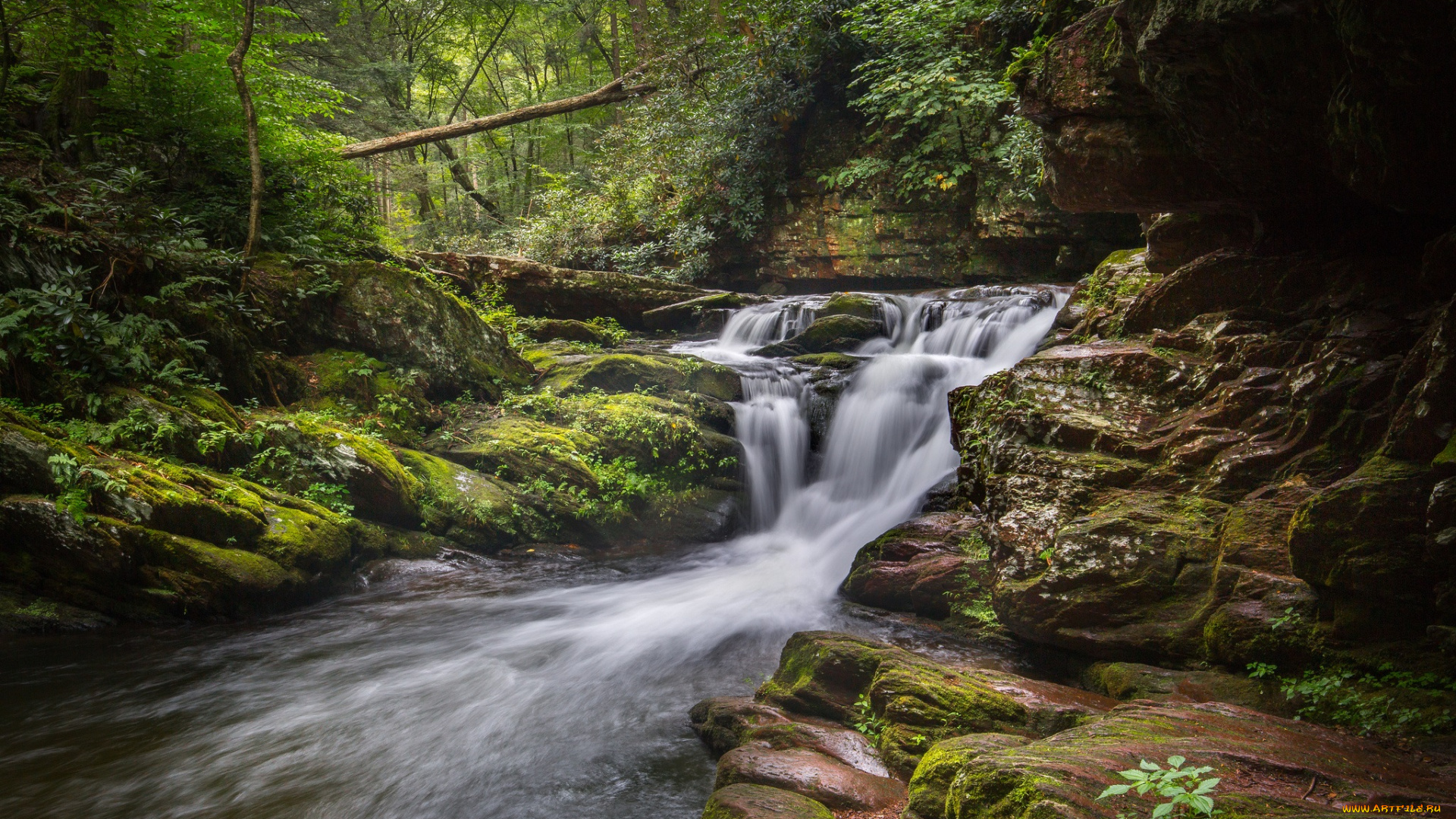 природа, реки, озера, простор