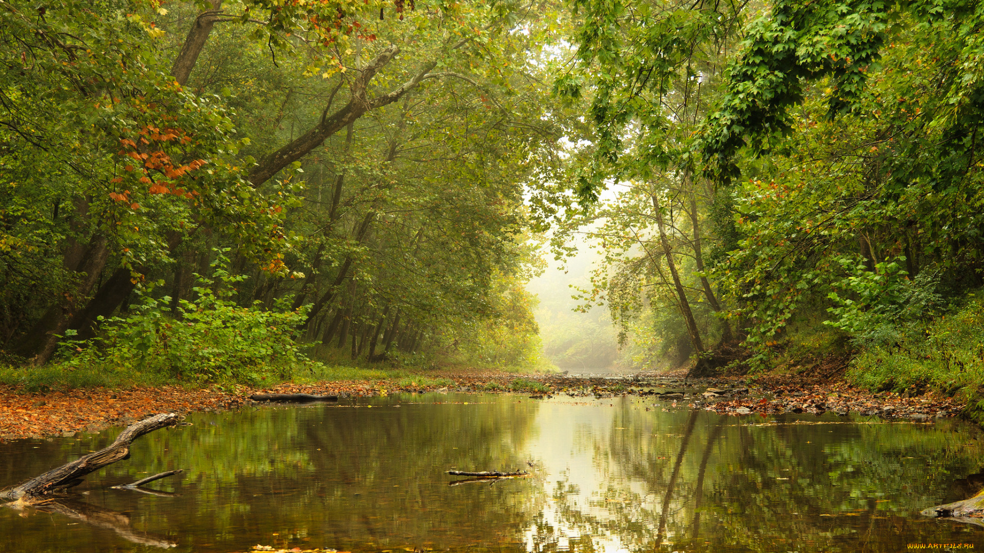 природа, реки, озера, простор