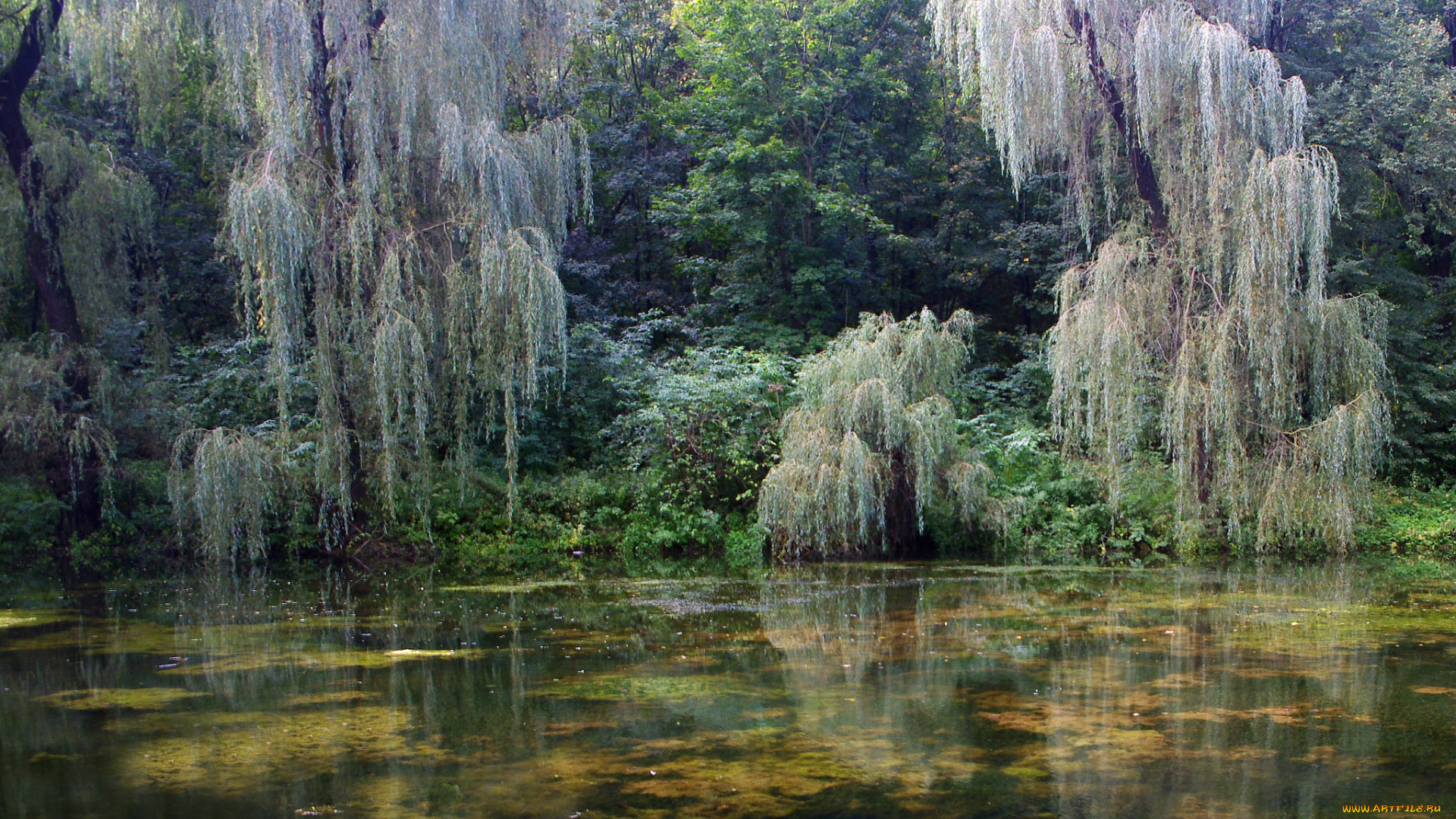 природа, реки, озера, простор